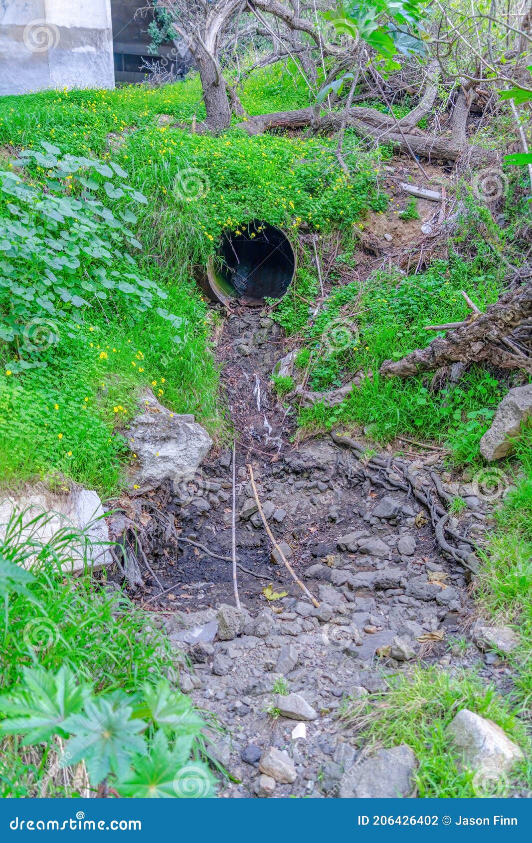 Tubería De Drenaje De Metales Enterrada Bajo Tierra Seca Y Rocosa En San  Diego California Foto de archivo - Imagen de hoja, follaje: 206426402