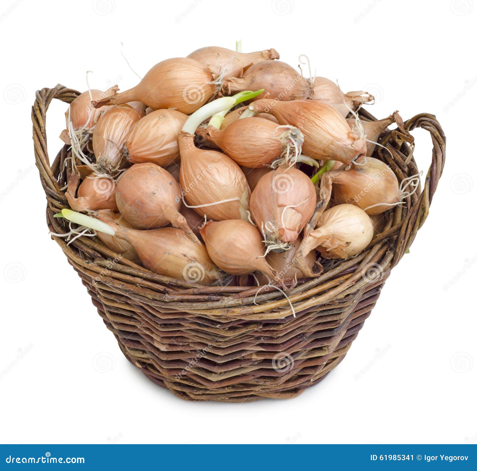 Tuber onion stock image. Image of abundance, food, bulb 61985341