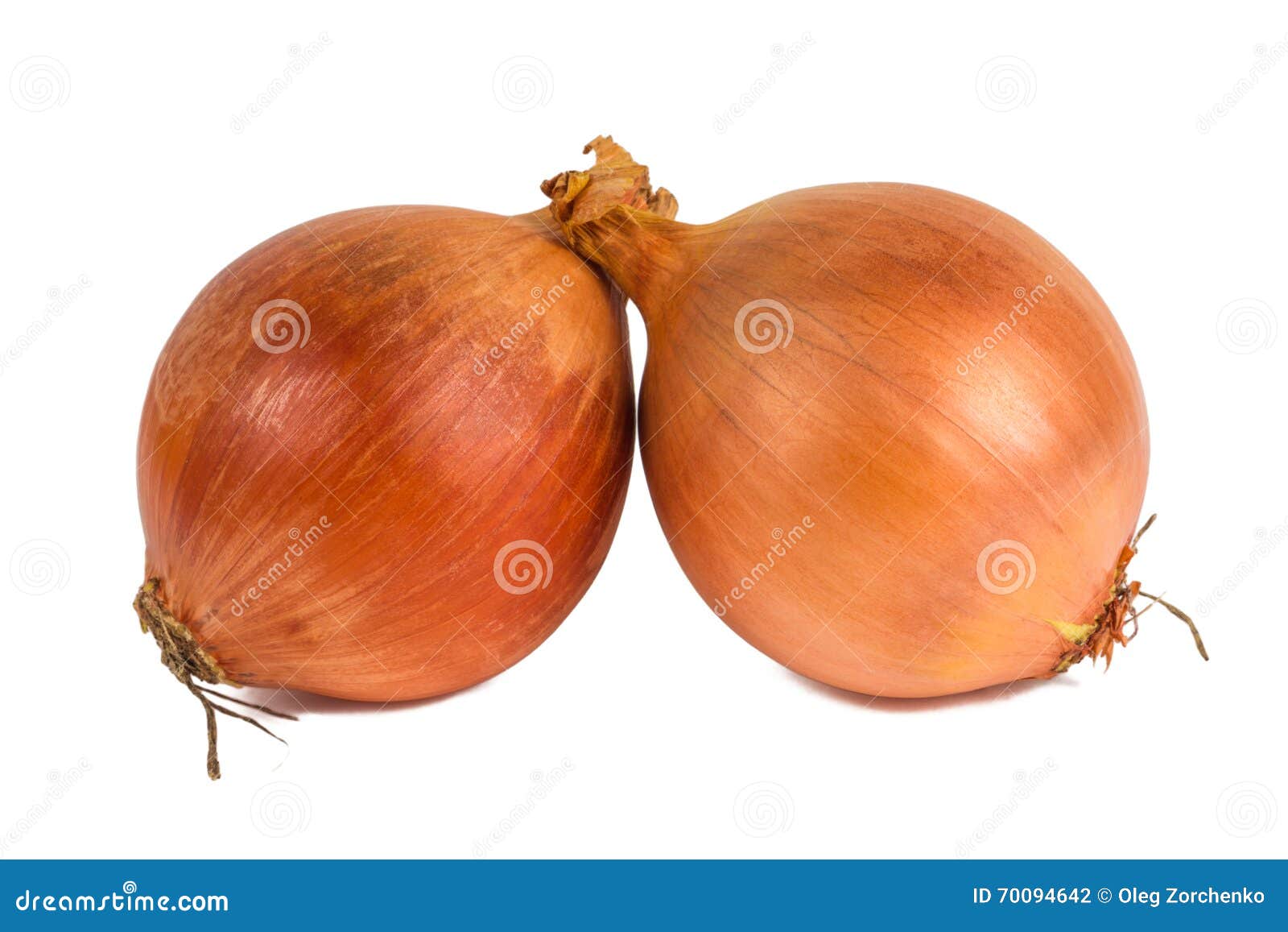 Tubers onions stock photo. Image of white, health, food 70094642