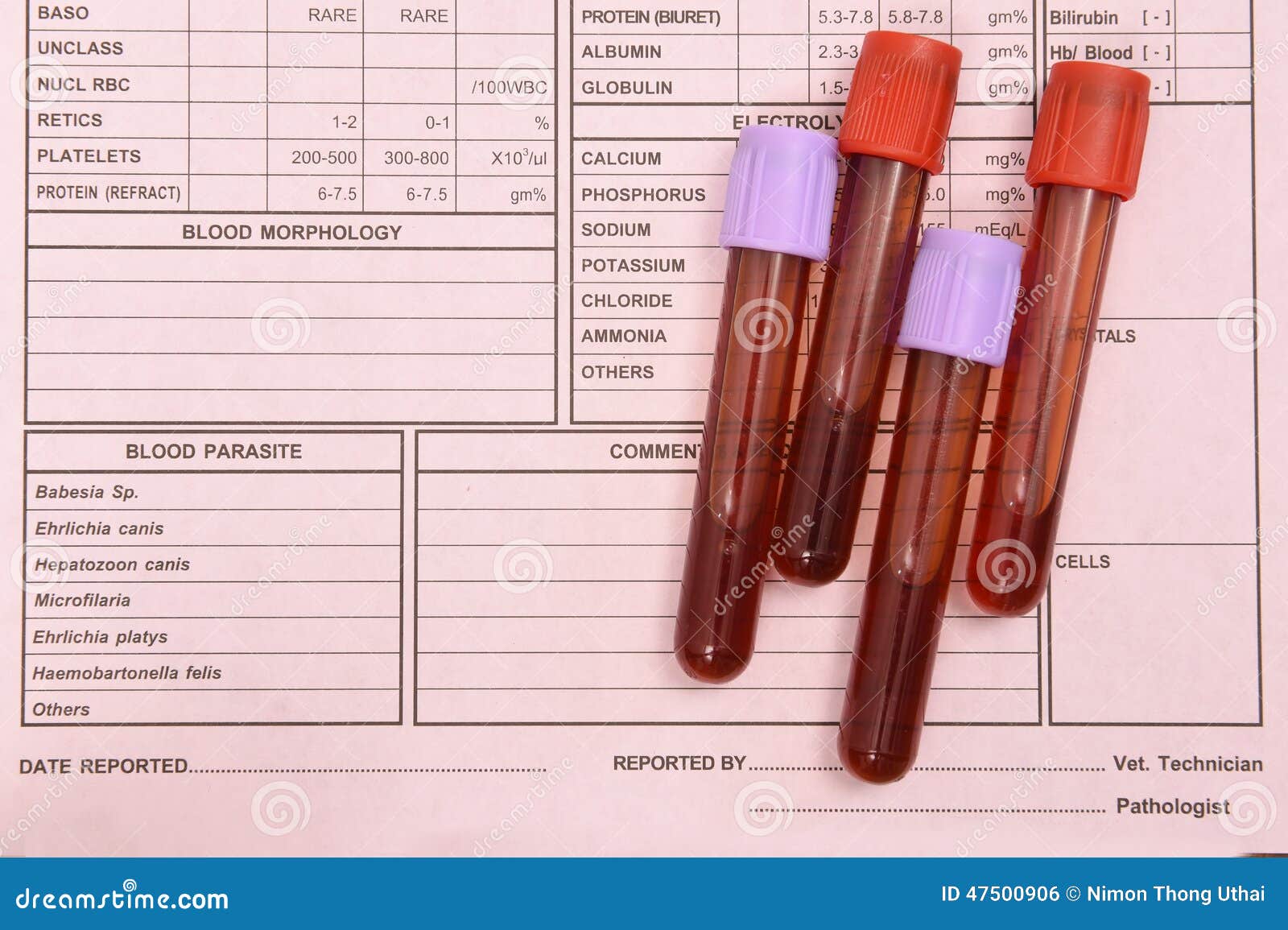 Какая ты кровь тест. Общий анализ крови пробирка. Пробирки для исследования общего анализа крови. Общий анализ крови цвет пробирки. Цвет пробирки для биохимического анализа крови.