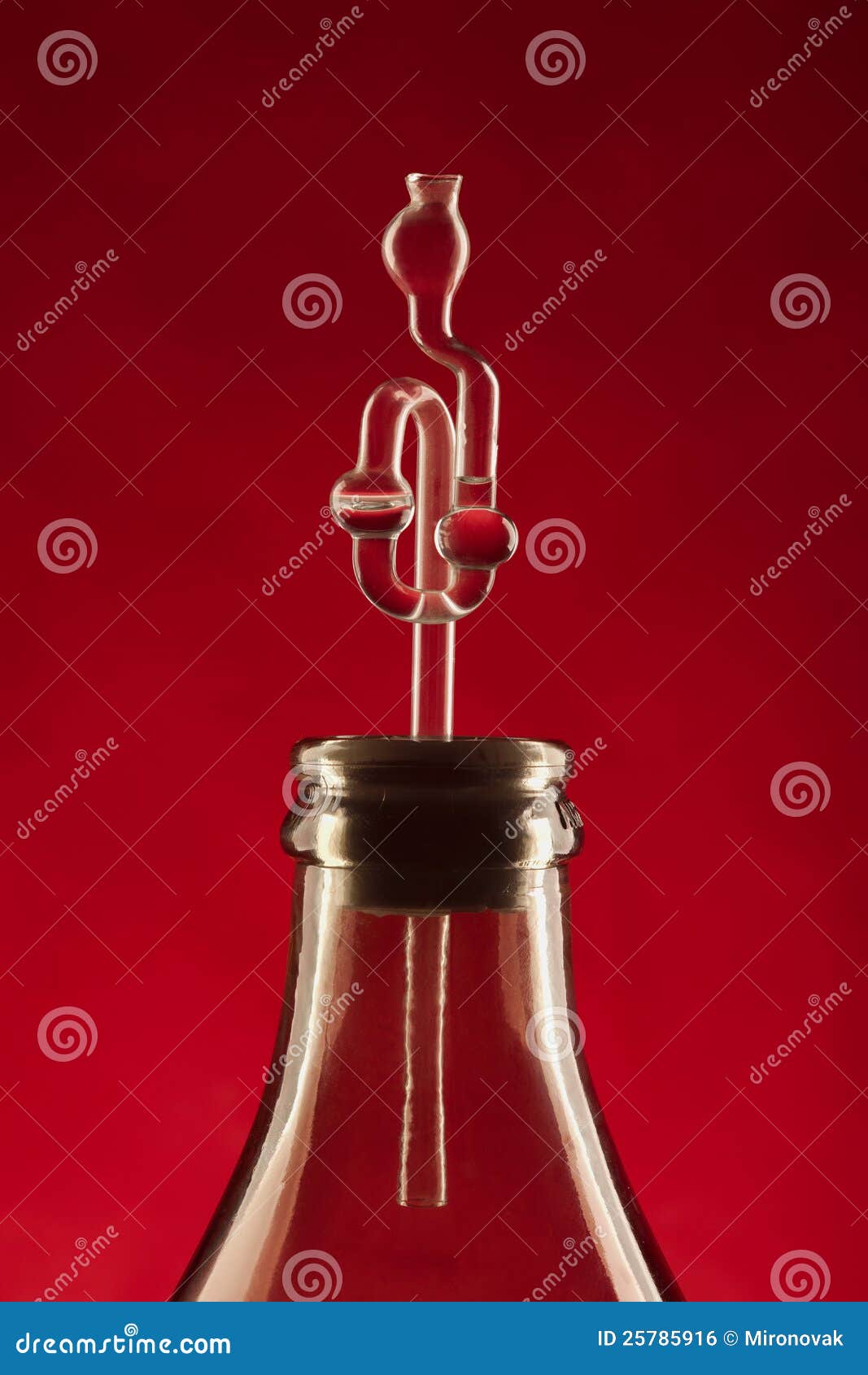 Valvole Di Fermentazione Per Vino Casalingo - Set 4 Pezzi Con Anelli Di Gomma E Coperchi - Foto 7