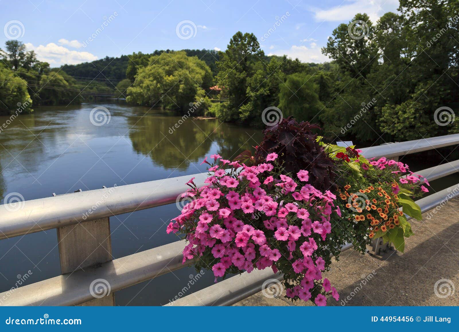TuckasegeeFluss Im North Carolina Stockfoto Bild von rauchig