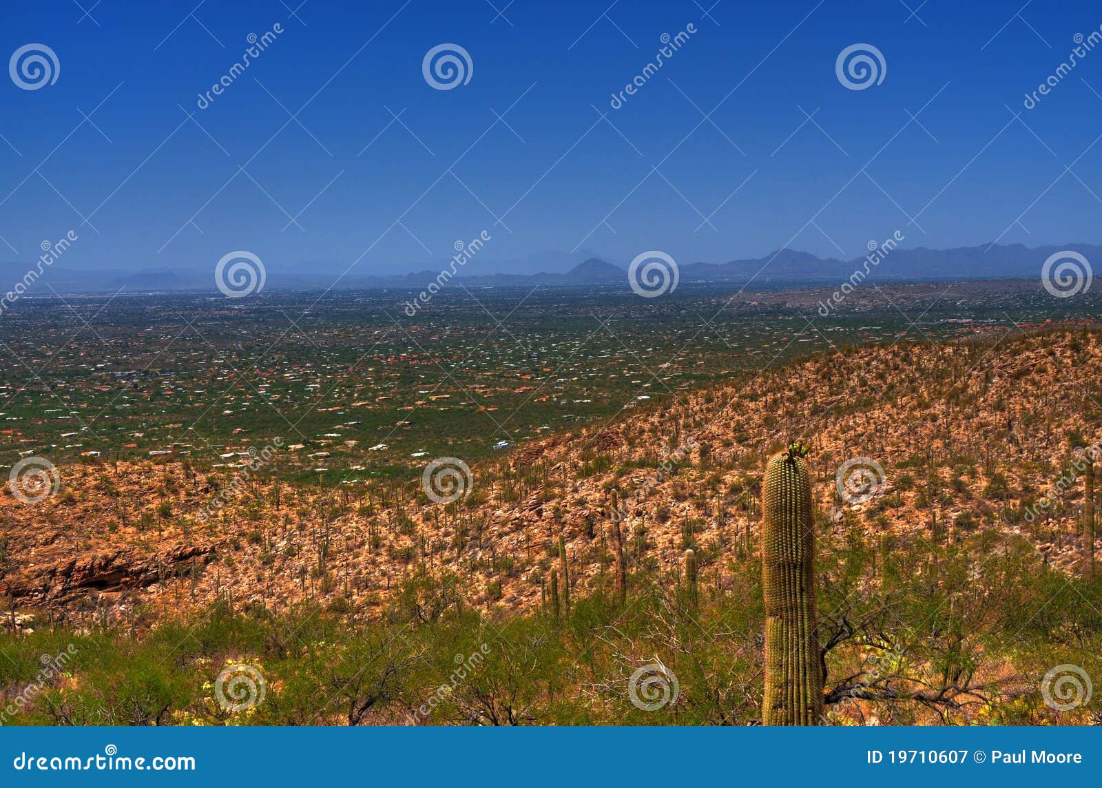 Tucson Arizona stock image. Image of modern, scene, southwest 19710607