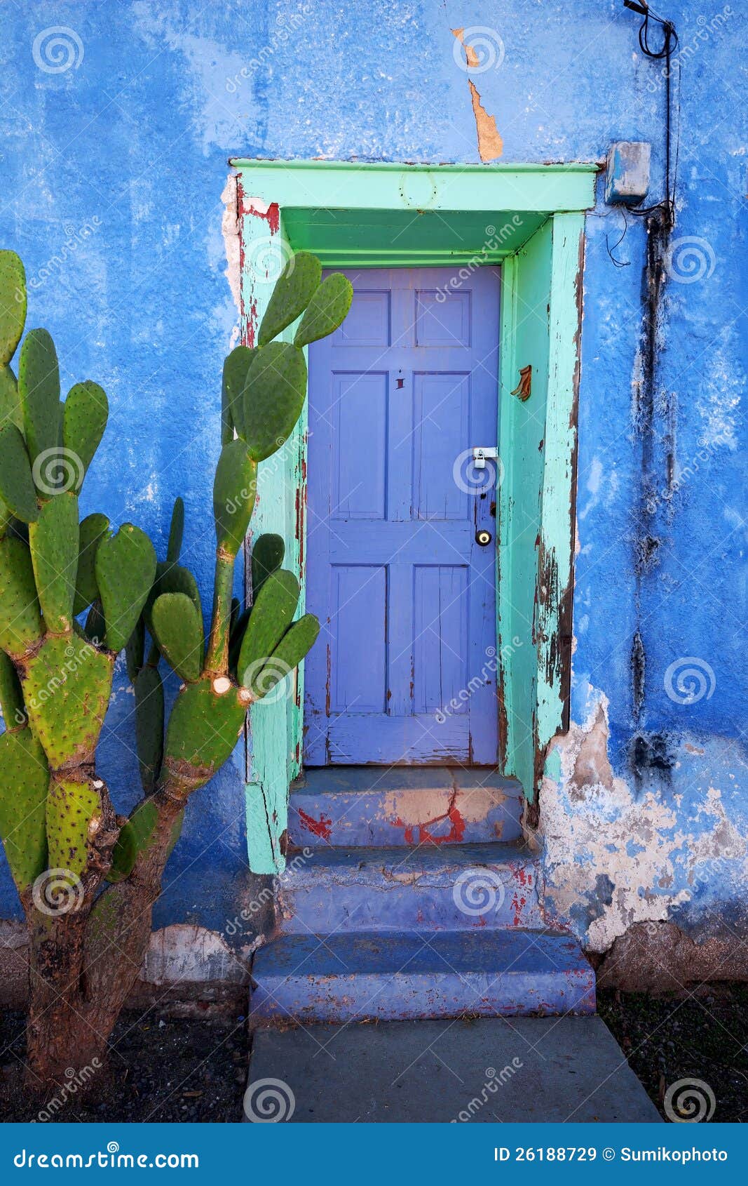 tucson house door