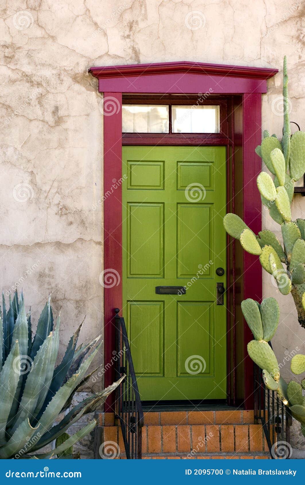 tucson door