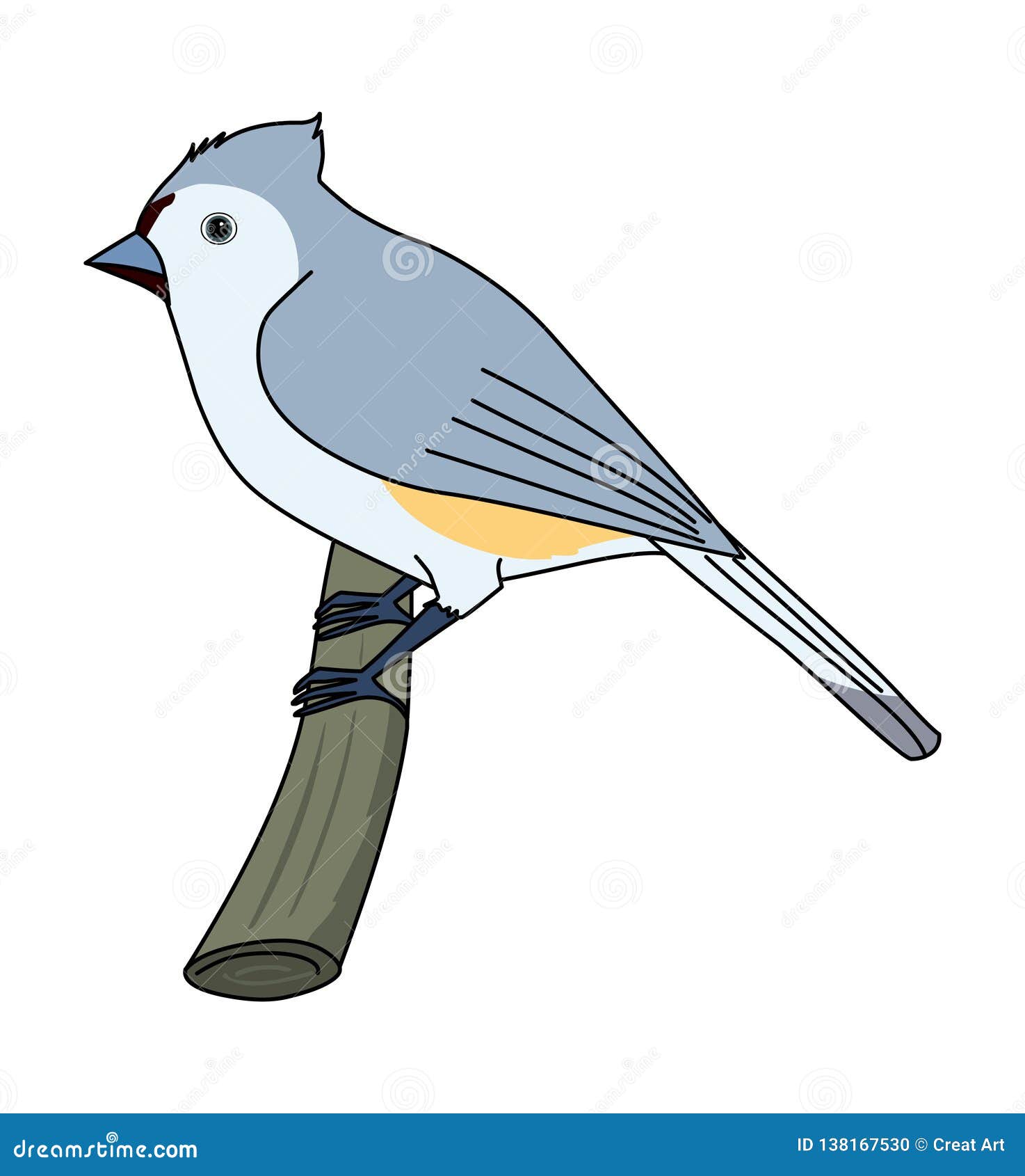 Tufted Titmouse Illustration Vector Bird Illustration Stock Vector