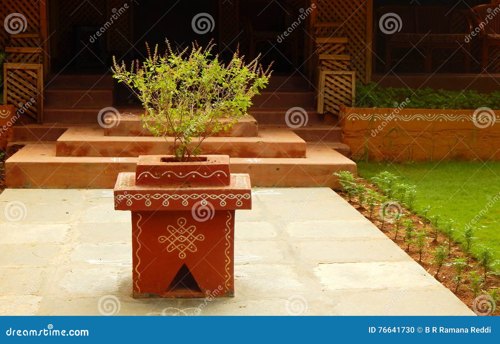 Tulasi Kota a Small Podium Like Arrangement with Holy Plant in ...