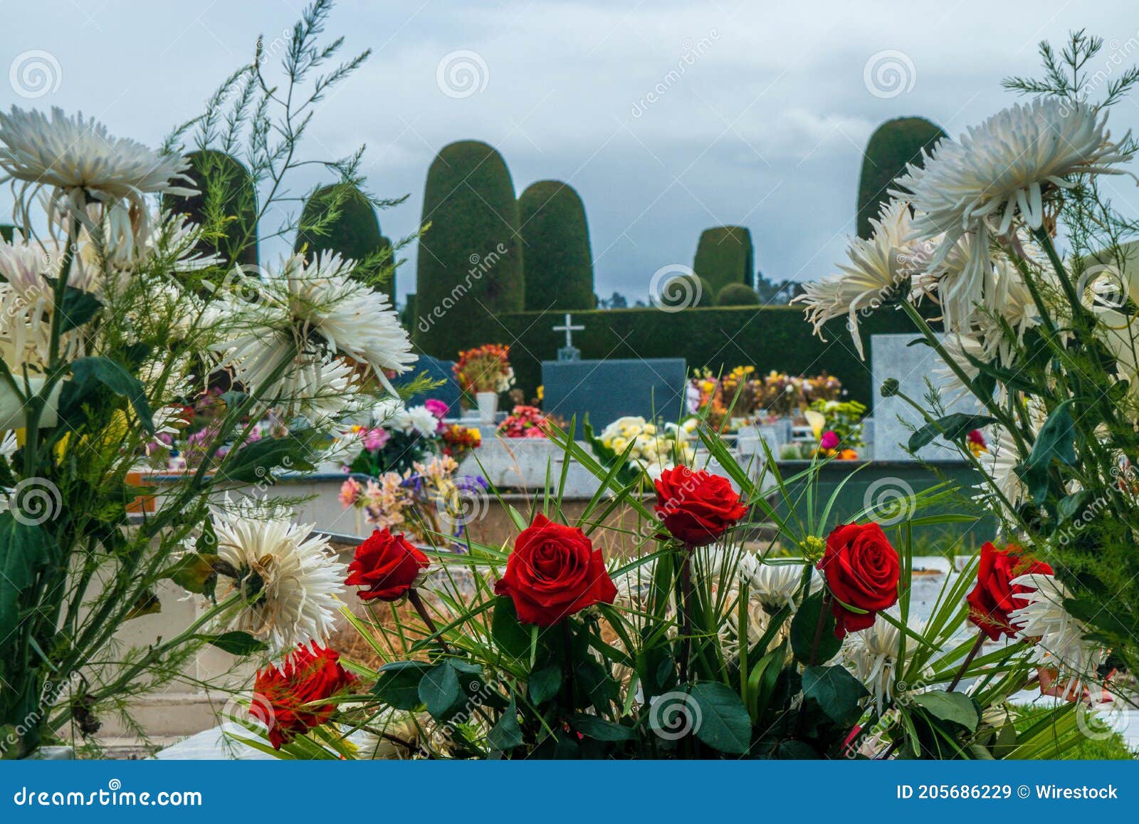tulcÃÂ¡n, ecuador - dec 26, 2018: flores en el cementerio