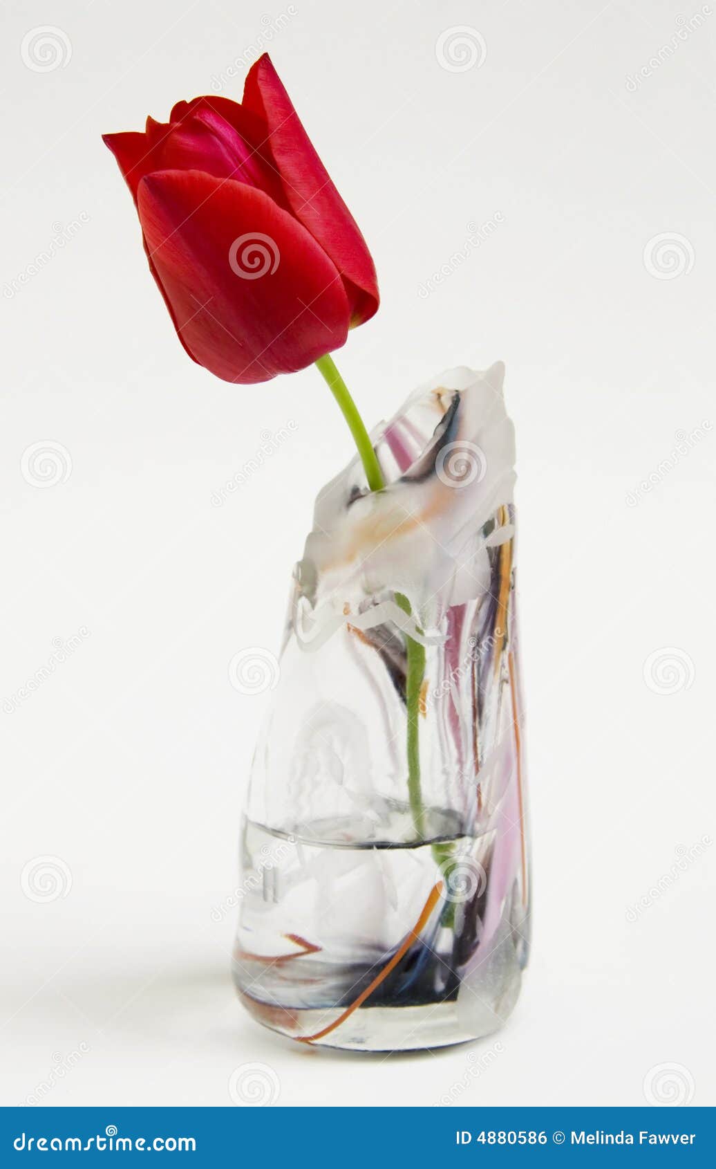 Как часто менять воду тюльпанам в вазе. Ваза с тюльпанами. Срезанные тюльпаны в воде. Вялые тюльпаны в вазе. Тюльпаны повяли в вазе.