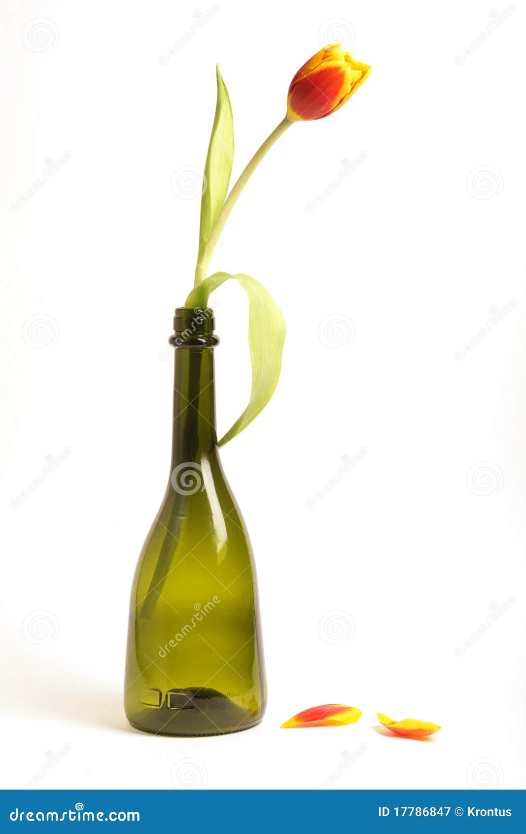 Beautiful bottle of champagne with tulips isolated on white