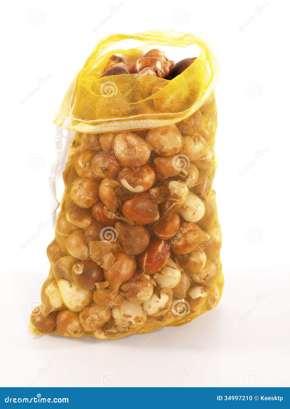 Tulip bulbs in a bag stock photo. Image of grass, chat 34997210