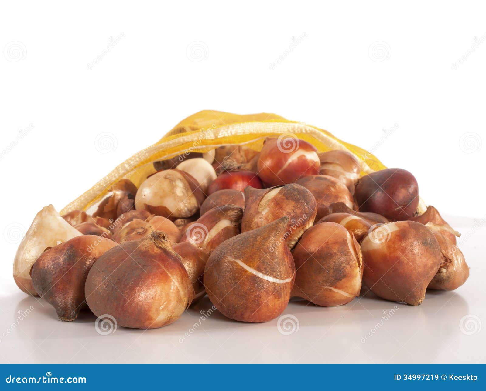 Tulip bulbs in a bag stock image. Image of pink, background 34997219