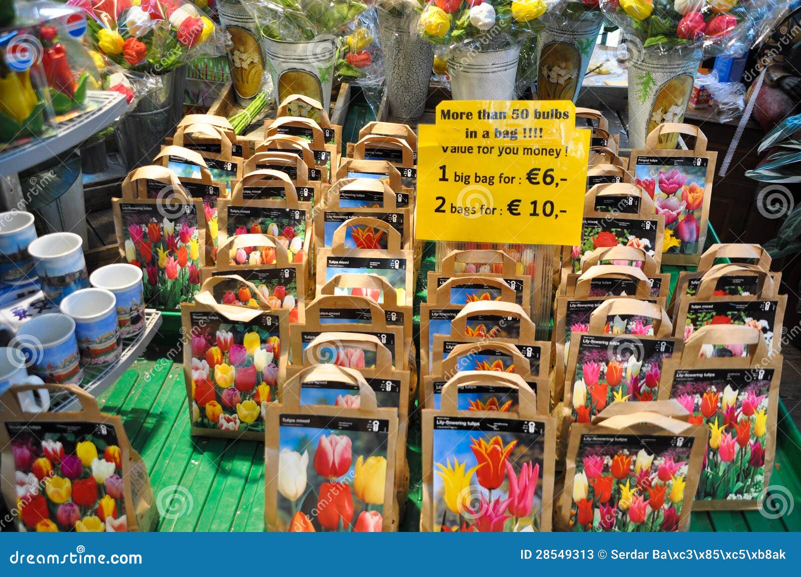 Tulip bulbs for sale editorial stock photo. Image of fluorescent - 28549313