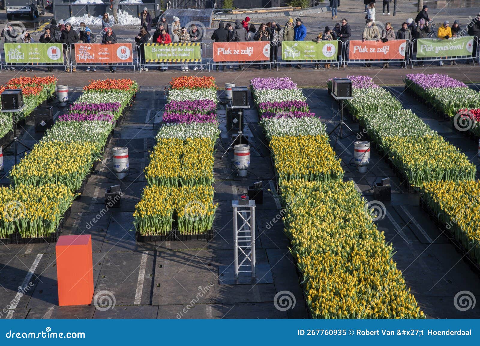 Tulip Fields at the National Tulip Day at Amsterdam the Netherlands 23