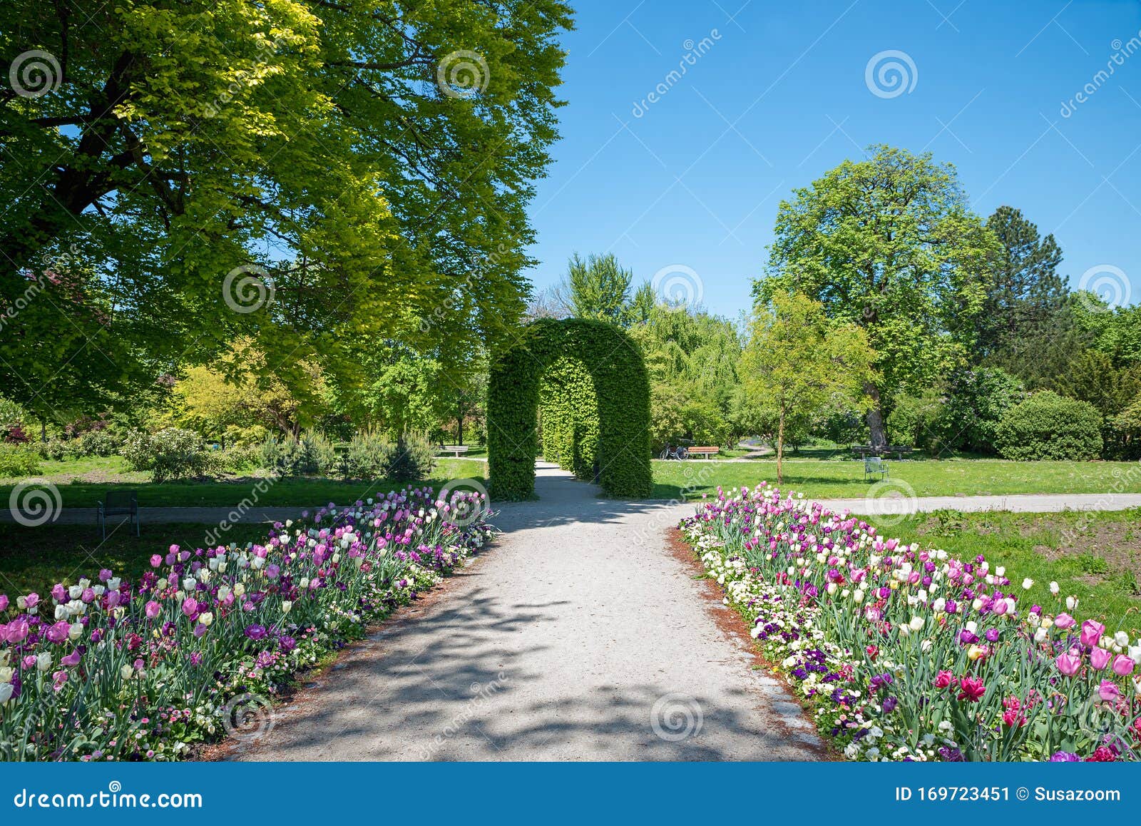 Tulip Flower Bed and Walkway in the Rosengarten Park, with Green Arch ...