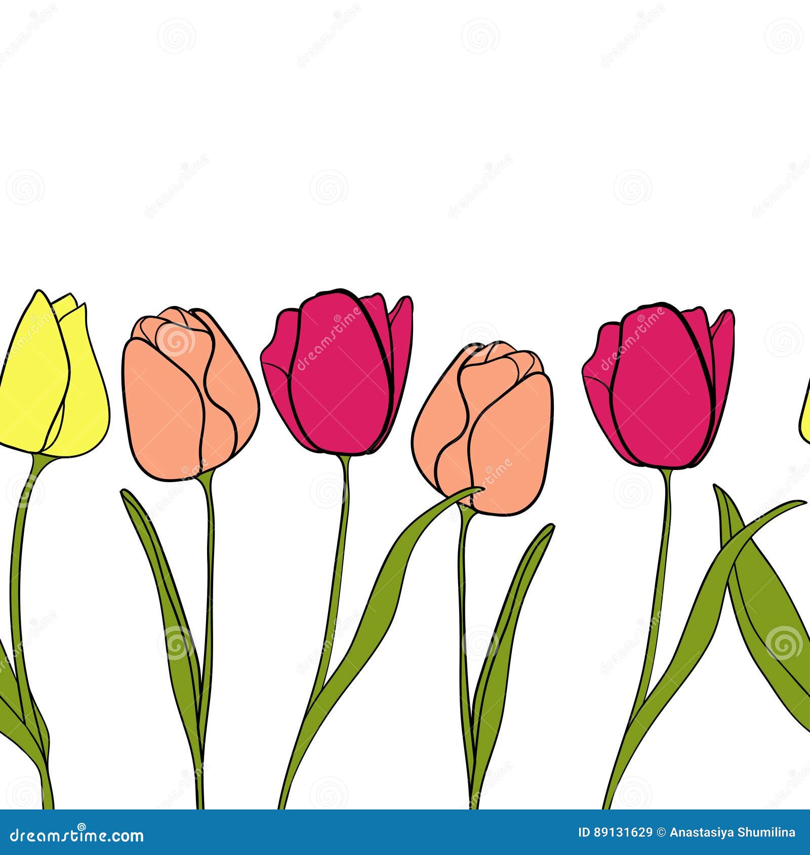 Tulip Flower Border Background Vector Stock Vector Illustration of