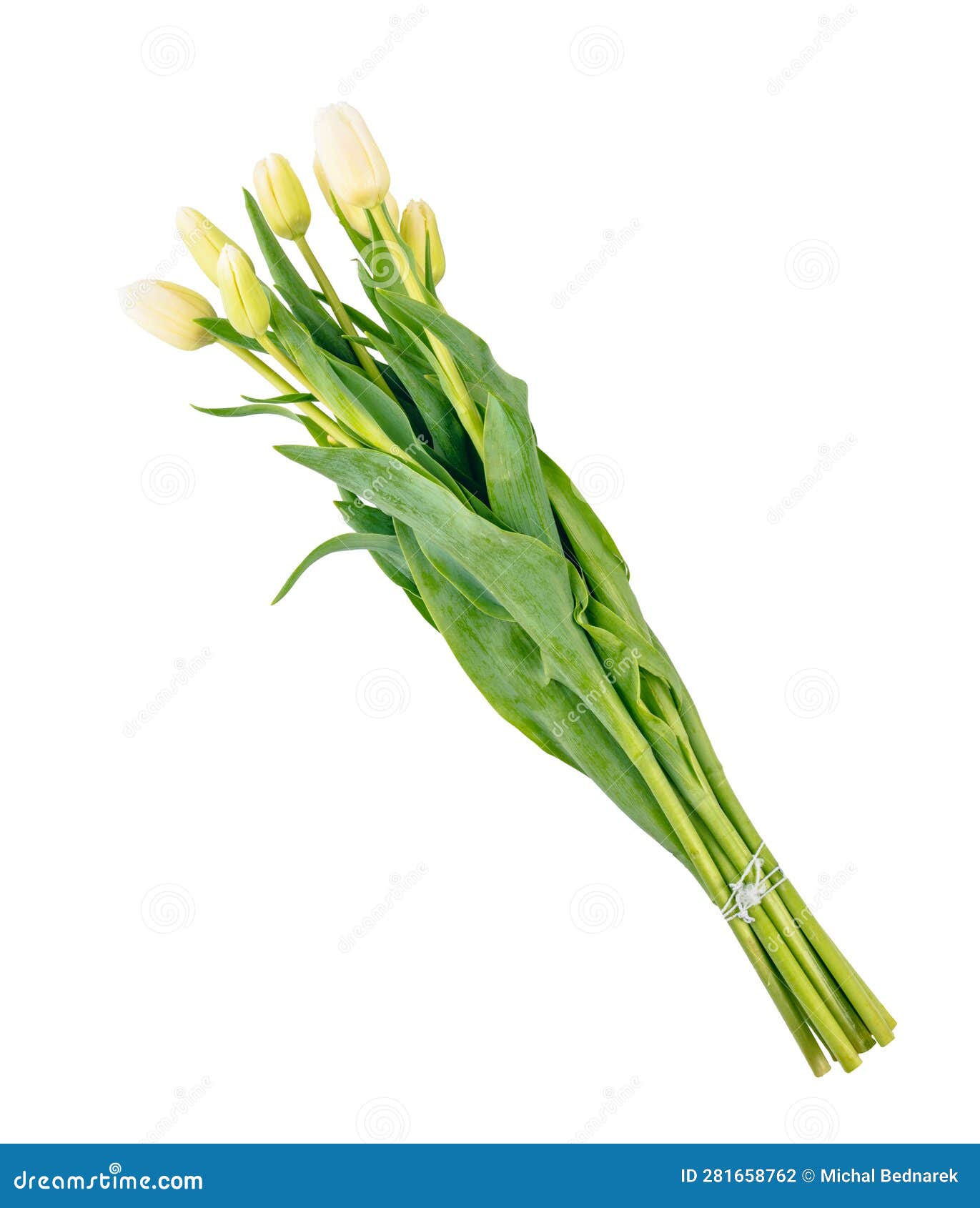 Tulip Flower Bouquet Isolated on White Background Stock Photo - Image
