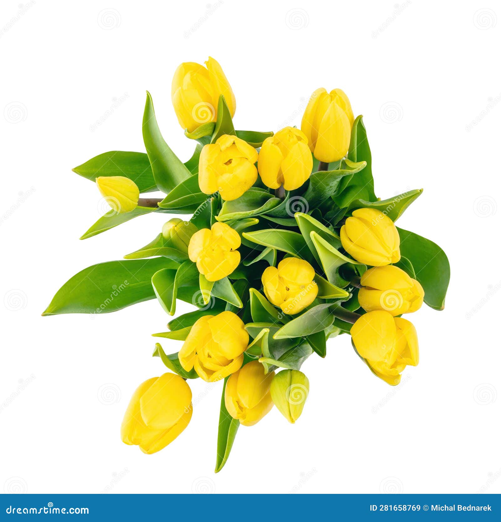 Tulip Flower Bouquet Isolated on White Background Stock Image - Image