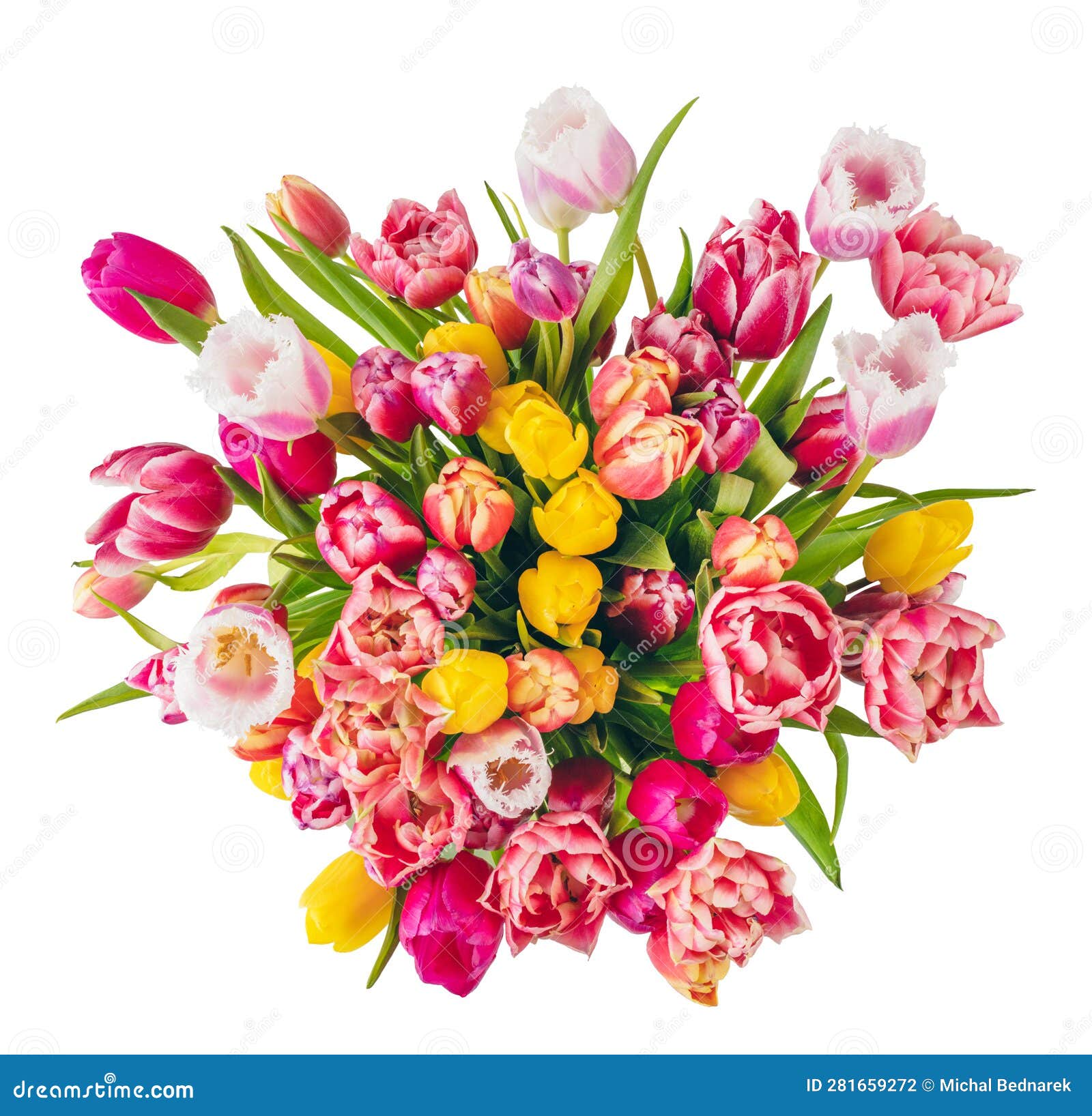 Tulip Flower Bouquet Isolated on White Background Stock Photo - Image