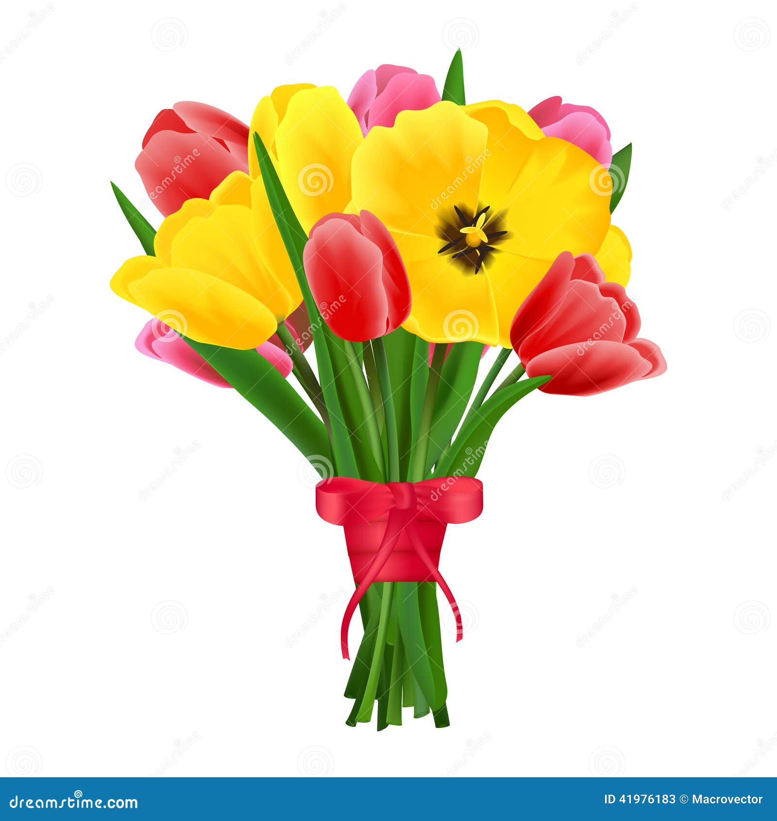 tulip flower bouquet