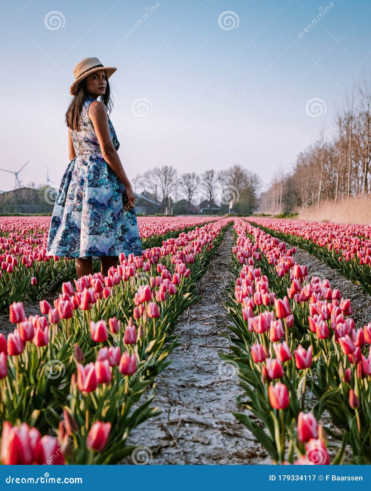 Tulip Flower Field in the Netherlands, Young Woman with Dress in Tulip ...