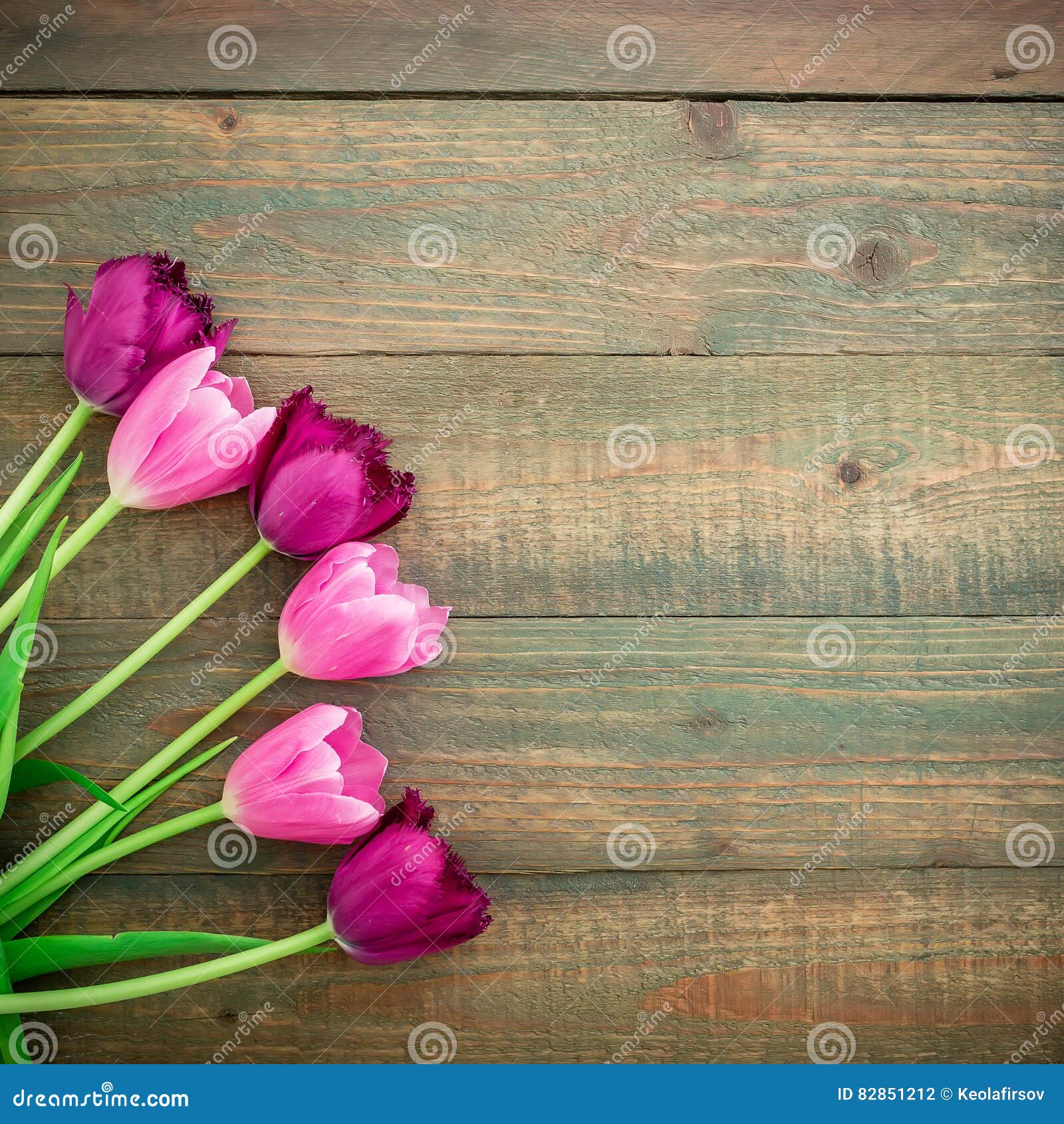 Tulip Flowers Isolated on Wood Background. Flat Lay, Top View Stock ...