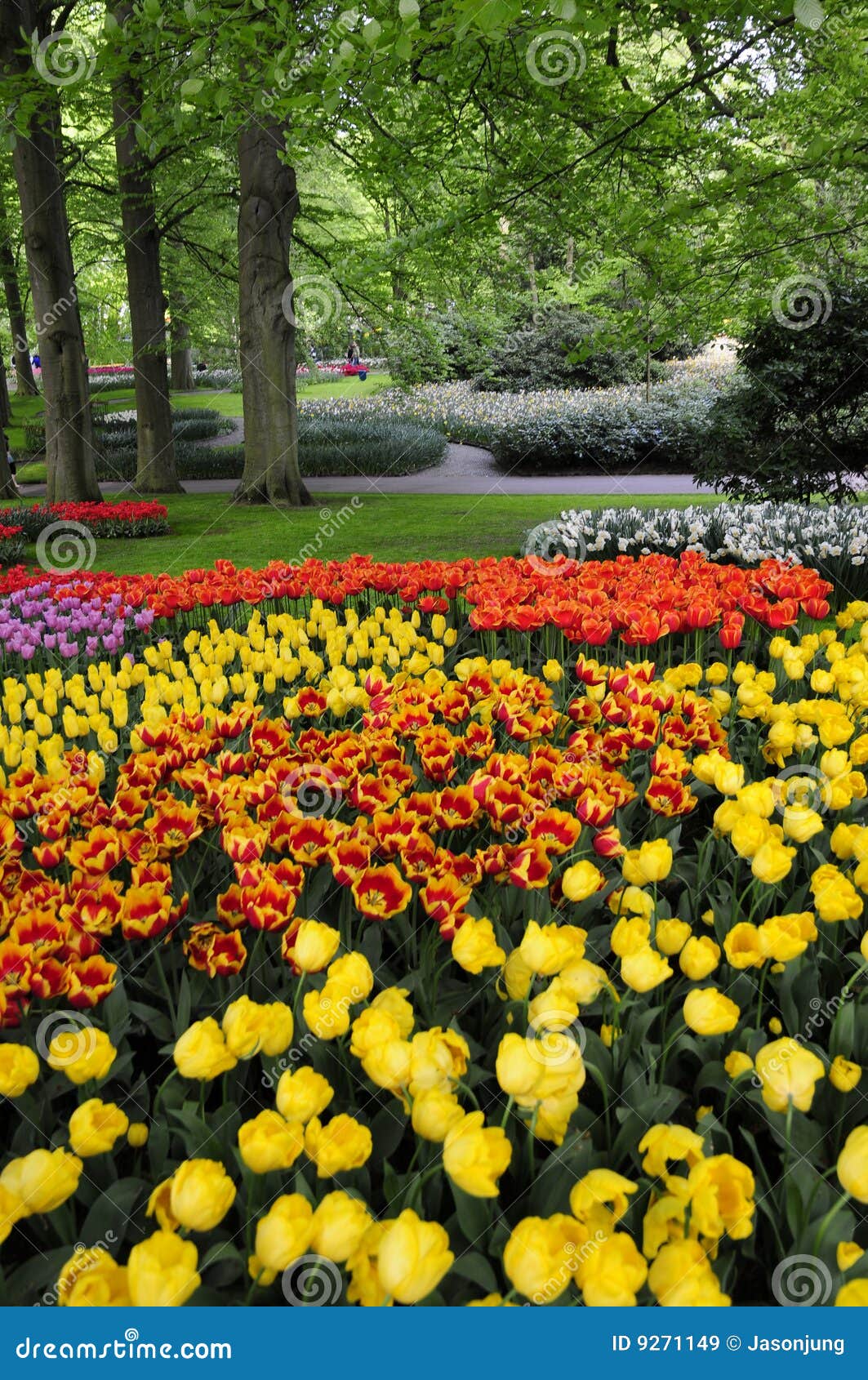 Tulip Garden At Showa Kinen KoenShowa Memorial Park,Tachikawa,Tokyo