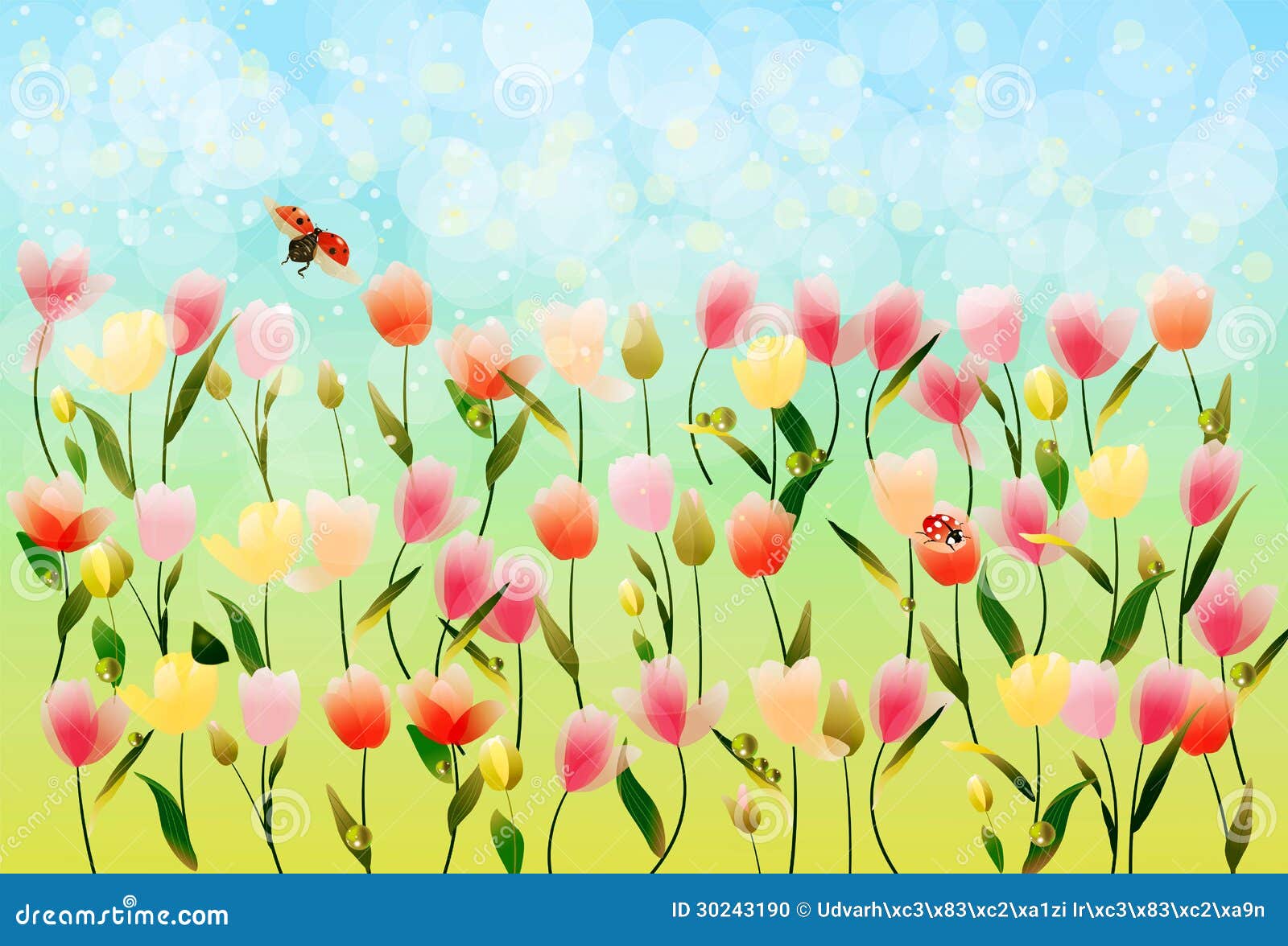 Tulips garden stock illustration. Illustration of floral - 30243190