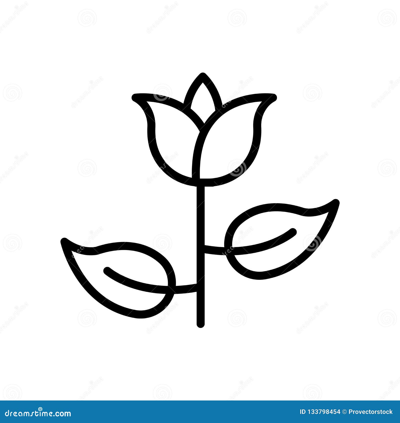 Tulip Icon Vector Isolated On White Background Tulip Sign Tulip Icon Vector Isolated On White Background Tulip Sign