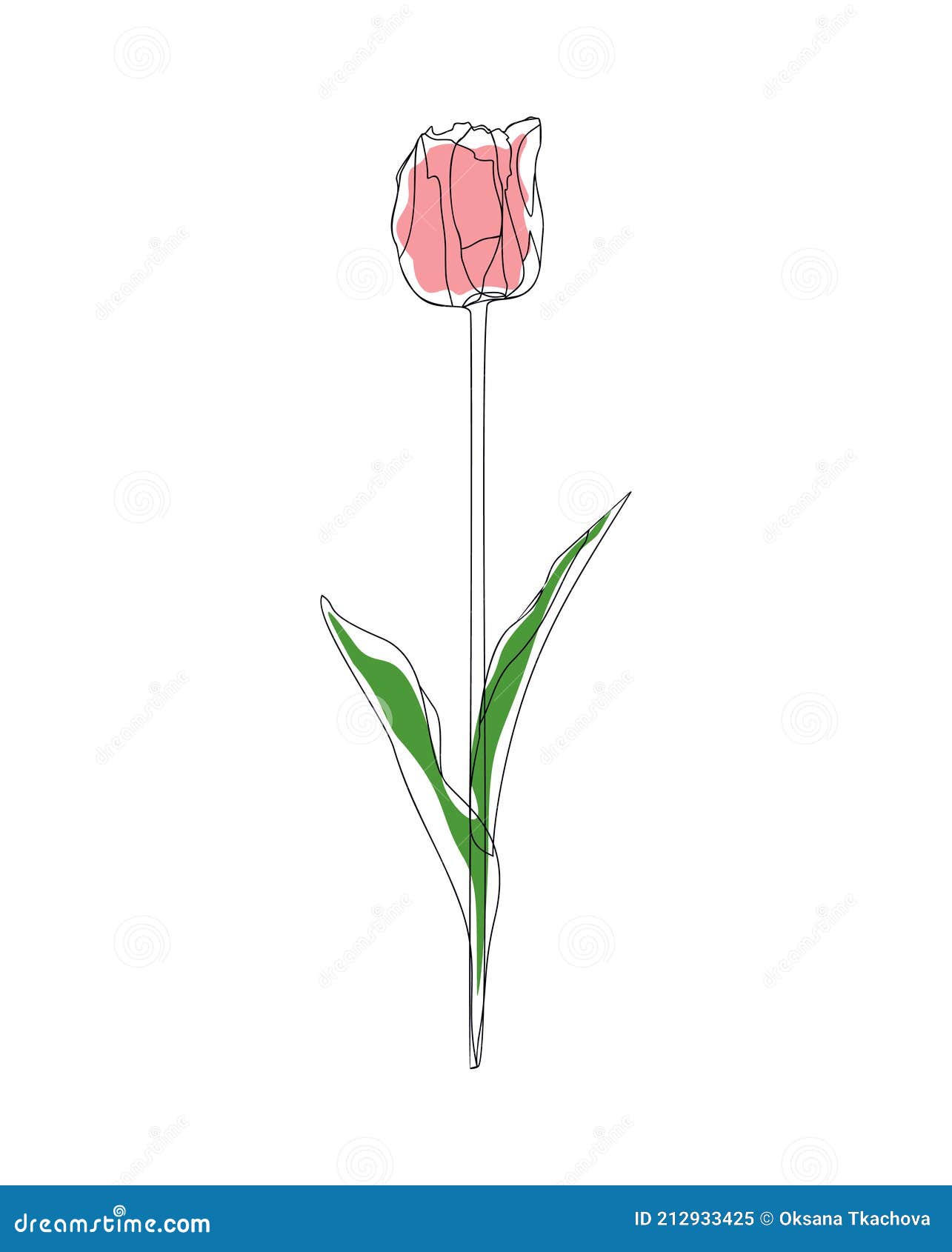 Tulip Line Art Vector Illustration with Colored Elements Stock Vector