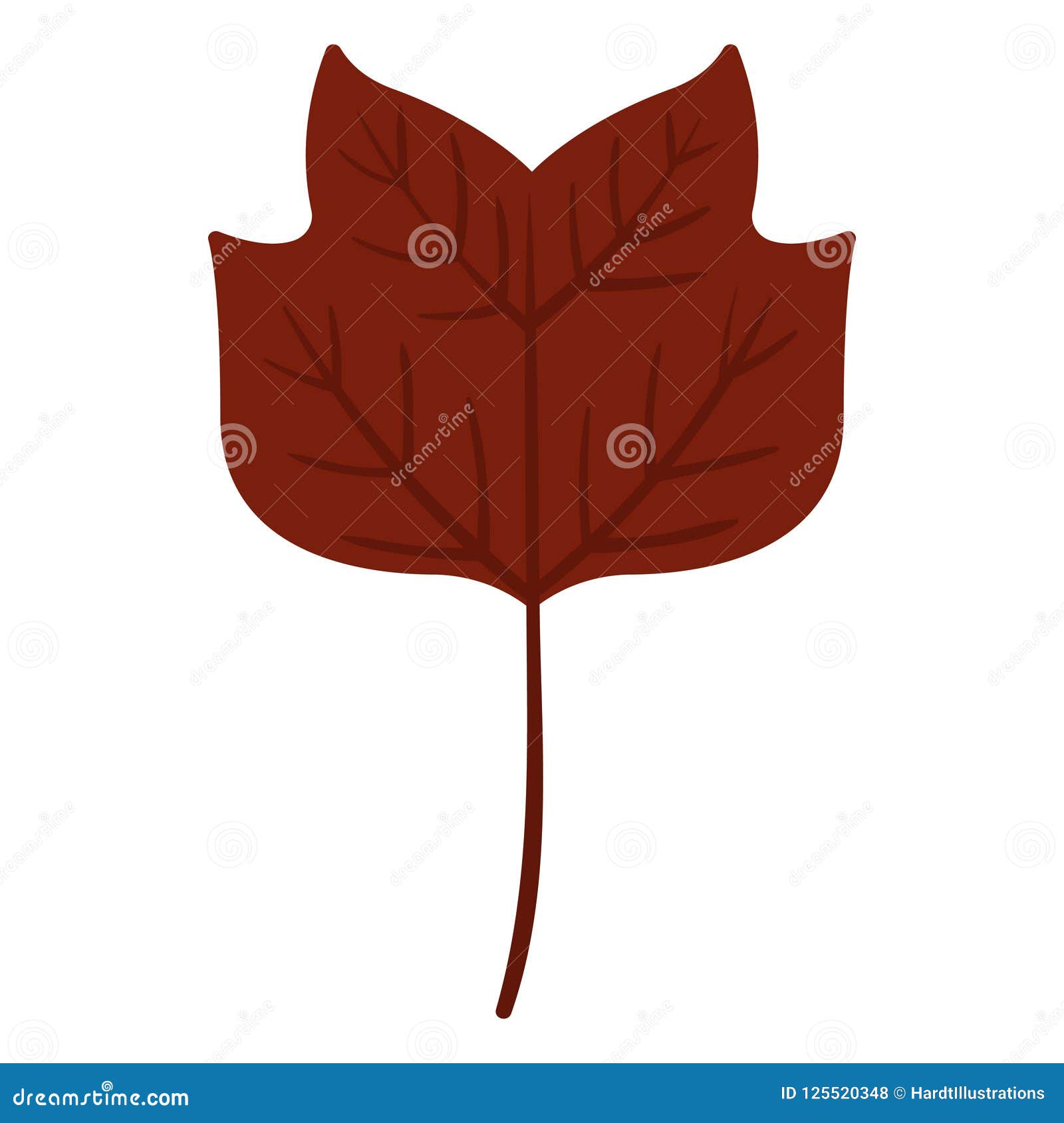 Tulip Poplar Liriodendron Tulipifera Leaf. Ink Black And White Doodle Drawing Cartoon Vector