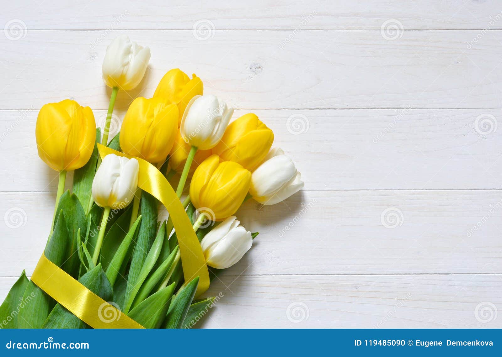 Tulipanes Amarillos Y Blancos En Un Fondo Blanco Foto de archivo - Imagen  de brillante, cinta: 119485090