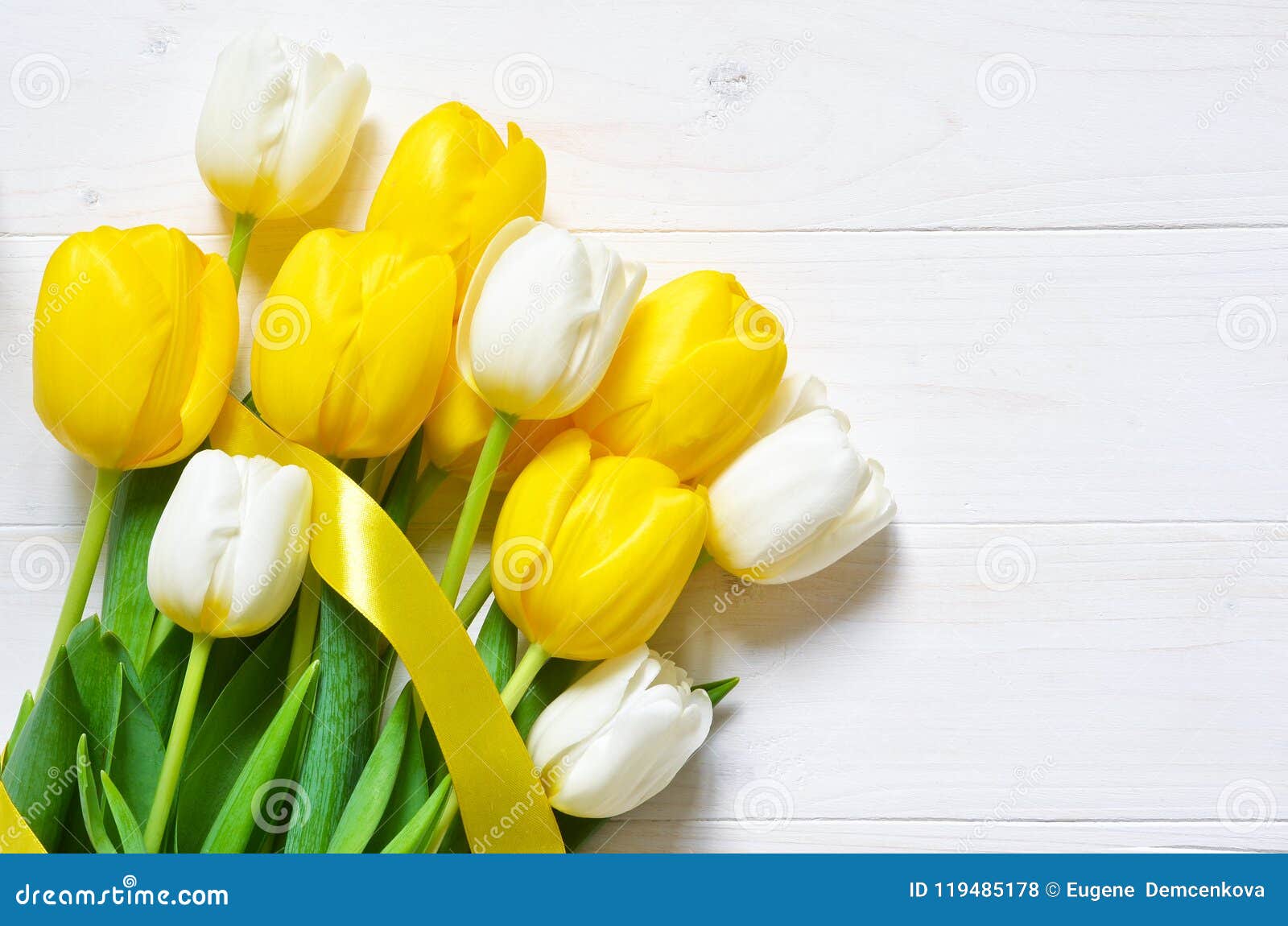 Tulipanes Amarillos Y Blancos En Un Fondo Blanco Foto de archivo - Imagen  de fondo, ramo: 119485178