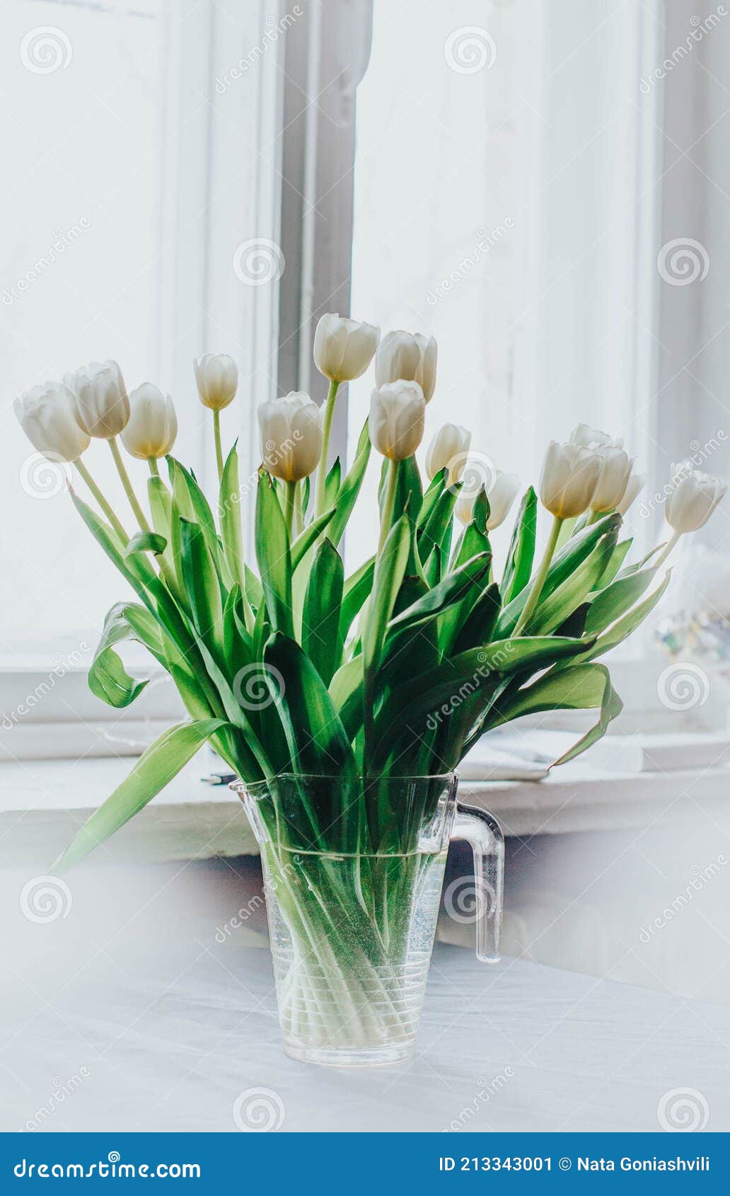 Tulipanes blancos imagen de archivo. Imagen de ramo - 213343001