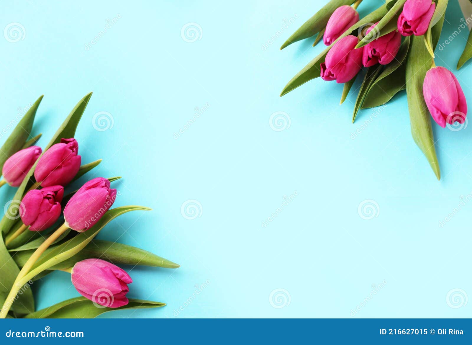Tulipanes Rosas Sobre Fondo Azul Claro. Arreglo Floral De Primavera. Imagen  de archivo - Imagen de hermoso, flora: 216627015
