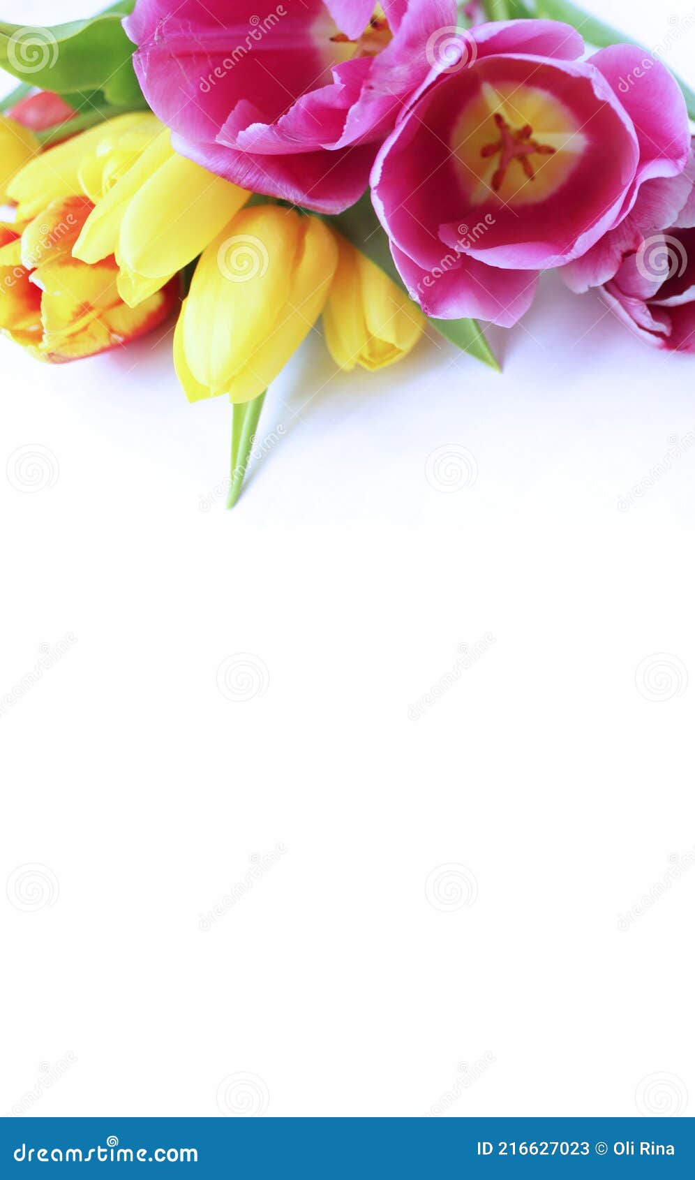 Tulipanes Rosas Y Amarillos Sobre Fondo Blanco. Delicado Arreglo Floral.  Imagen de archivo - Imagen de amarillo, floral: 216627023