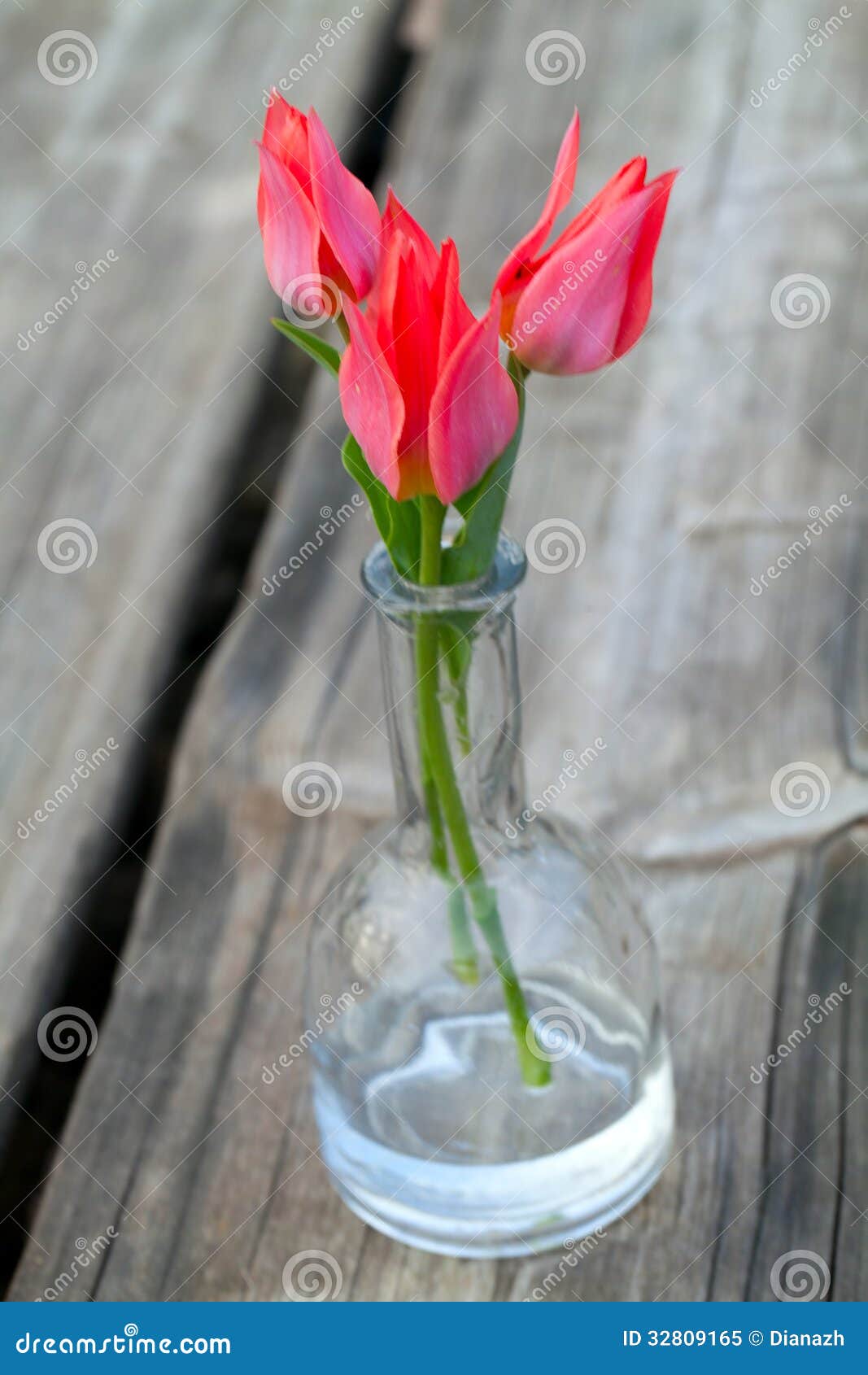 Почему тюльпаны падают. Сорванные тюльпаны. Сорванные цветы тюльпана в вазе. Тюльпаны сорванные лежат. Тюльпаны упали вниз.