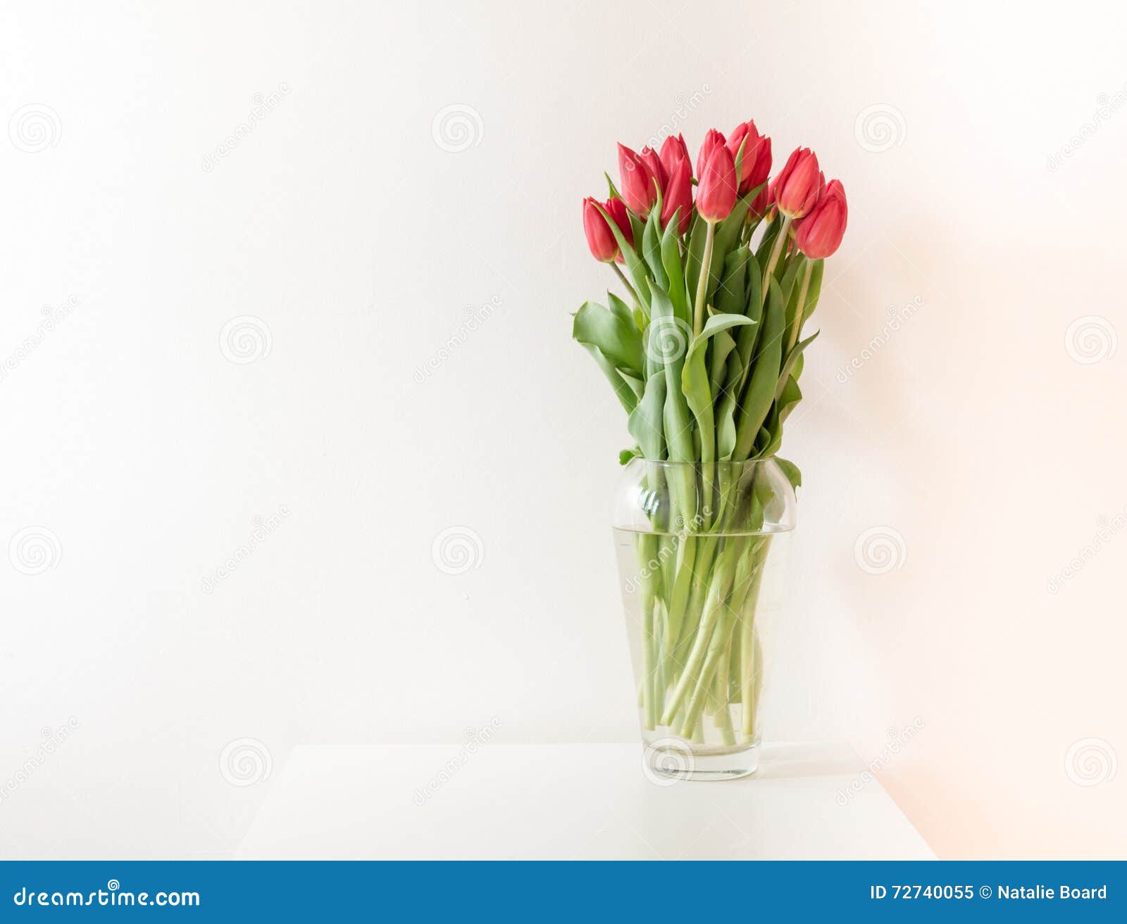 Tulipas Vermelhas No Vaso De Vidro Imagem de Stock - Imagem de parede,  simplicidade: 72740055