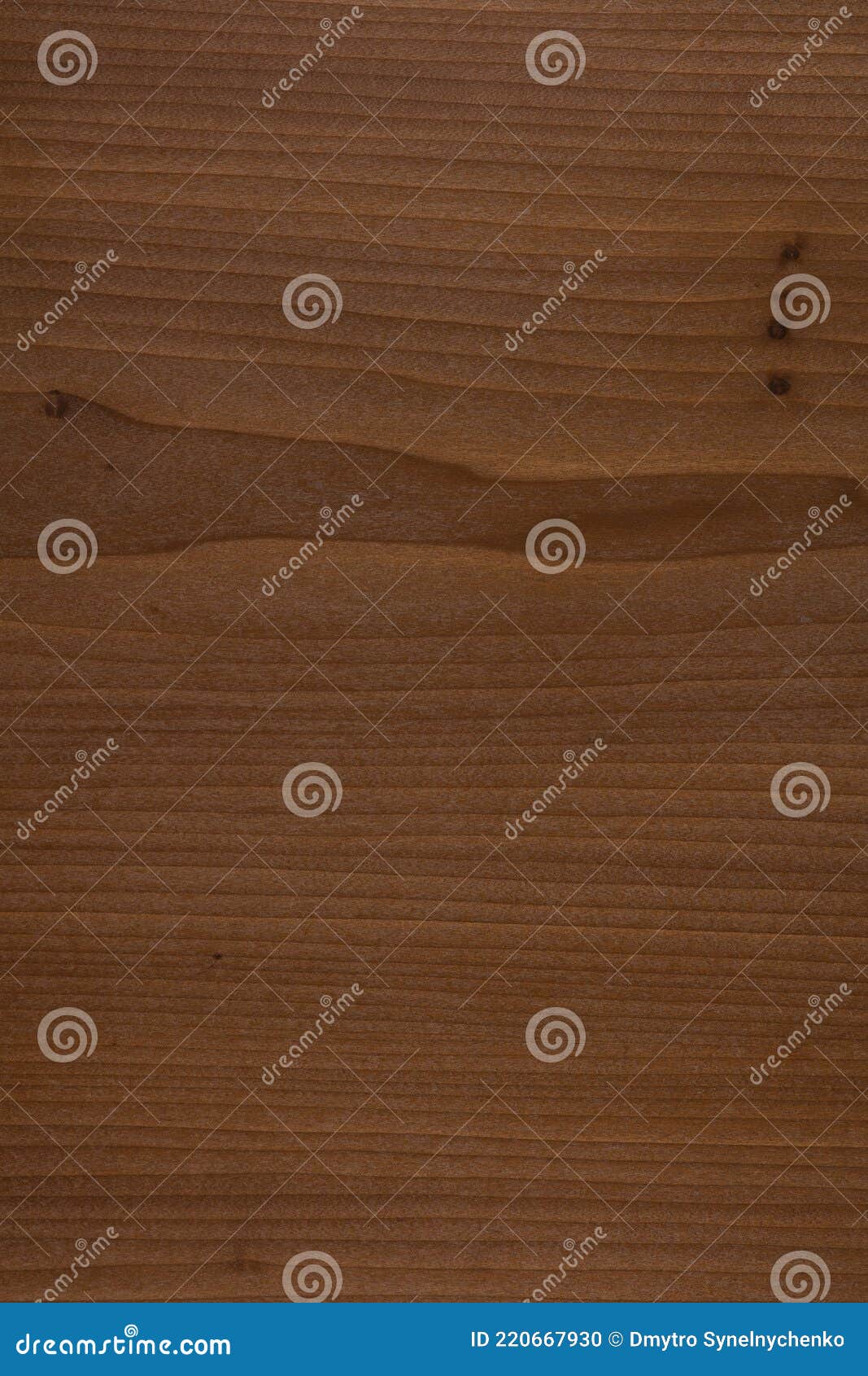 tulipie tinto marrone veneer background in beautiful brown color, new texture for your exterior.