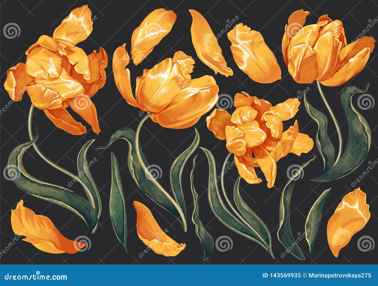 Set of Floral Elements with Yellow Tulips Flowers and Leaves. Stock ...
