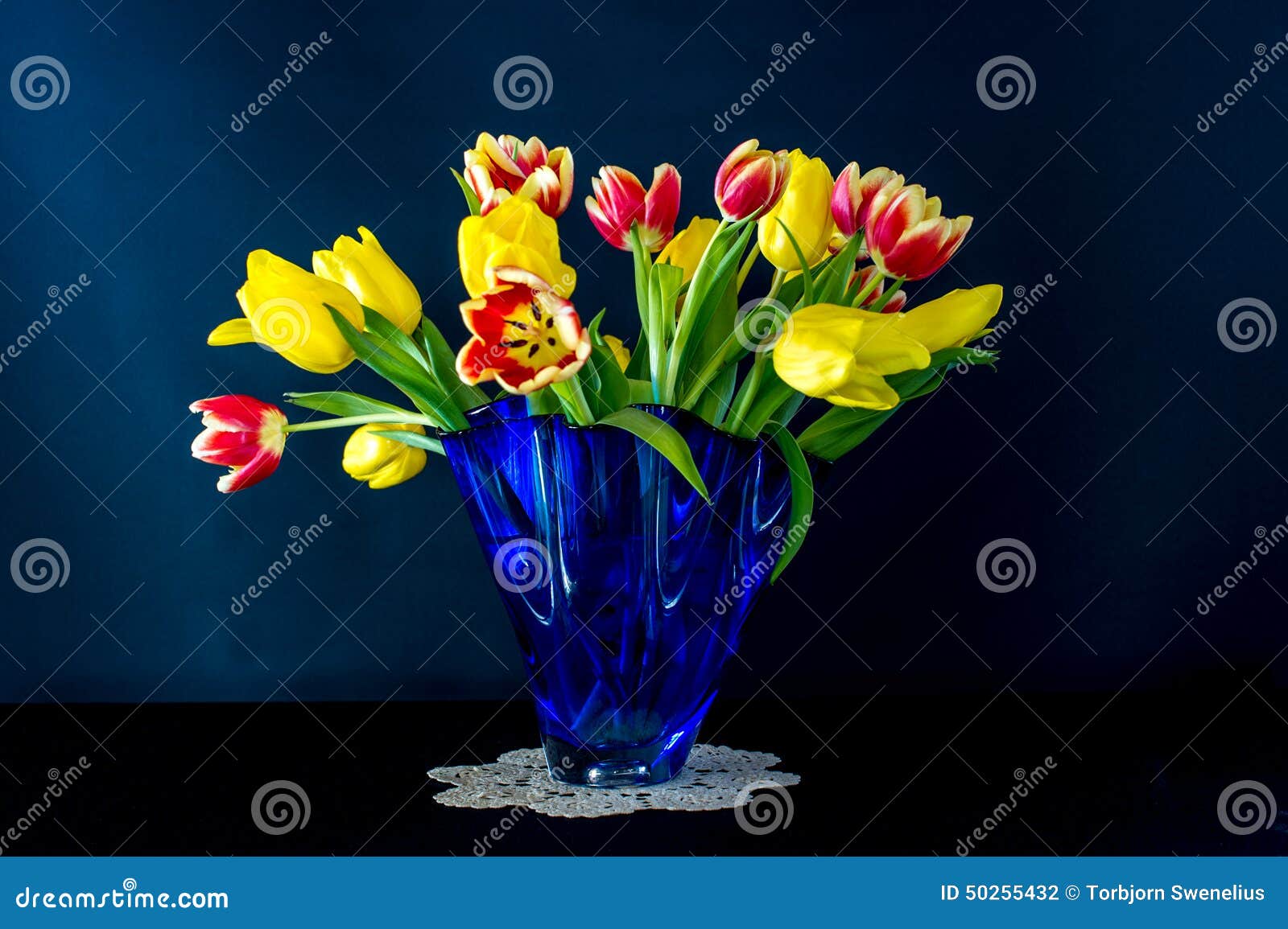 Tulips in Blue stock photo. Image of leaf, yellow, petals 50255432