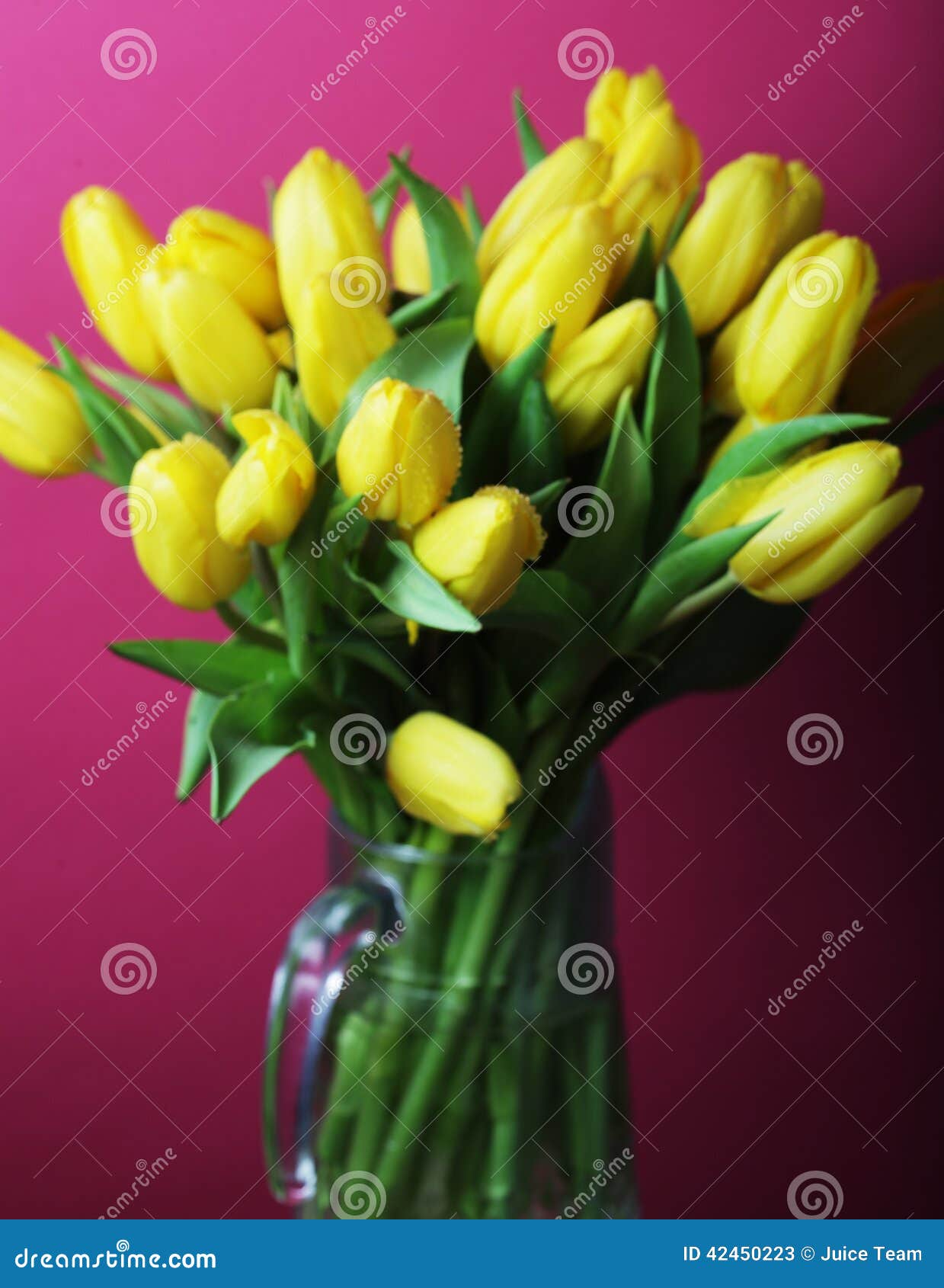 Tulips Bouquet in Glass Vase Stock Image Image of beauty, plant 42450223