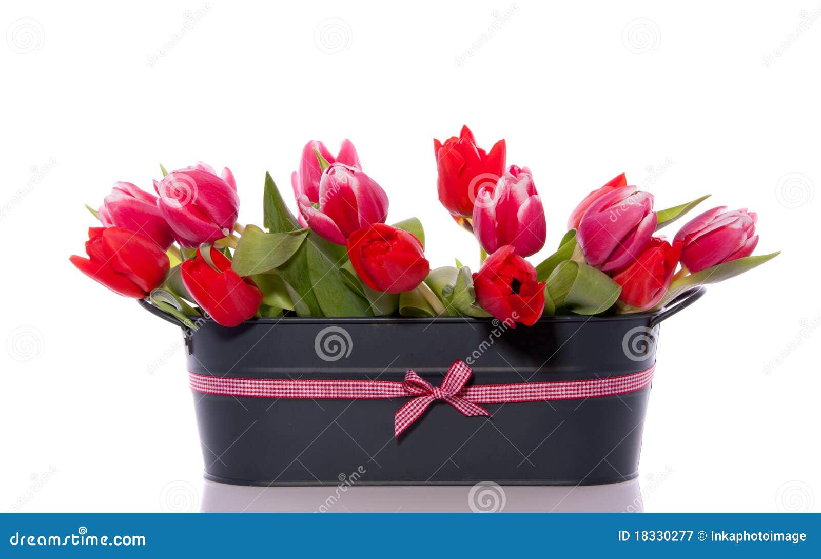 Um ramalhete com os tulips cor-de-rosa vermelhos misturados em um potenciômetro de flor cinzento do ferro com a fita checkered isolada sobre o branco