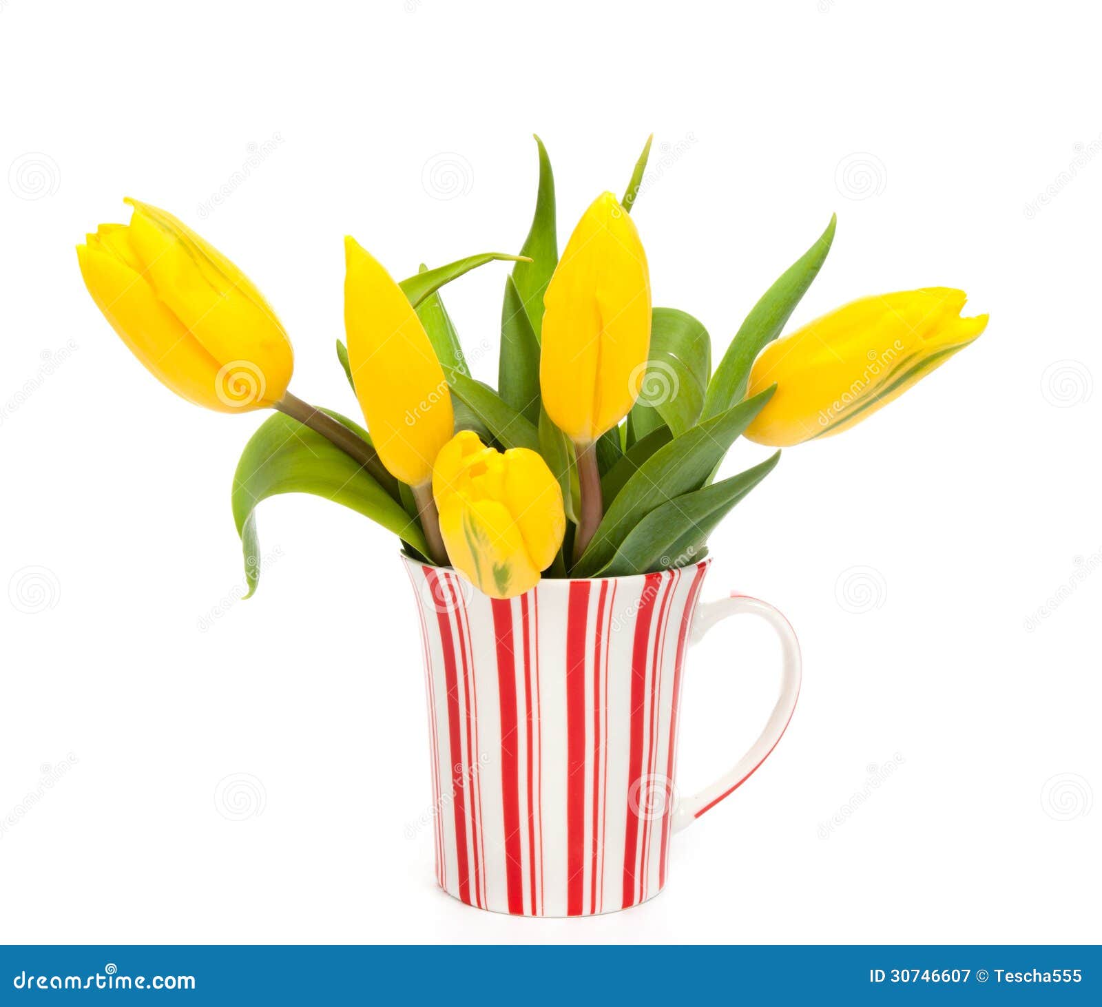 Tulips on cup stock image. Image of bunch, season, valentine - 30746607