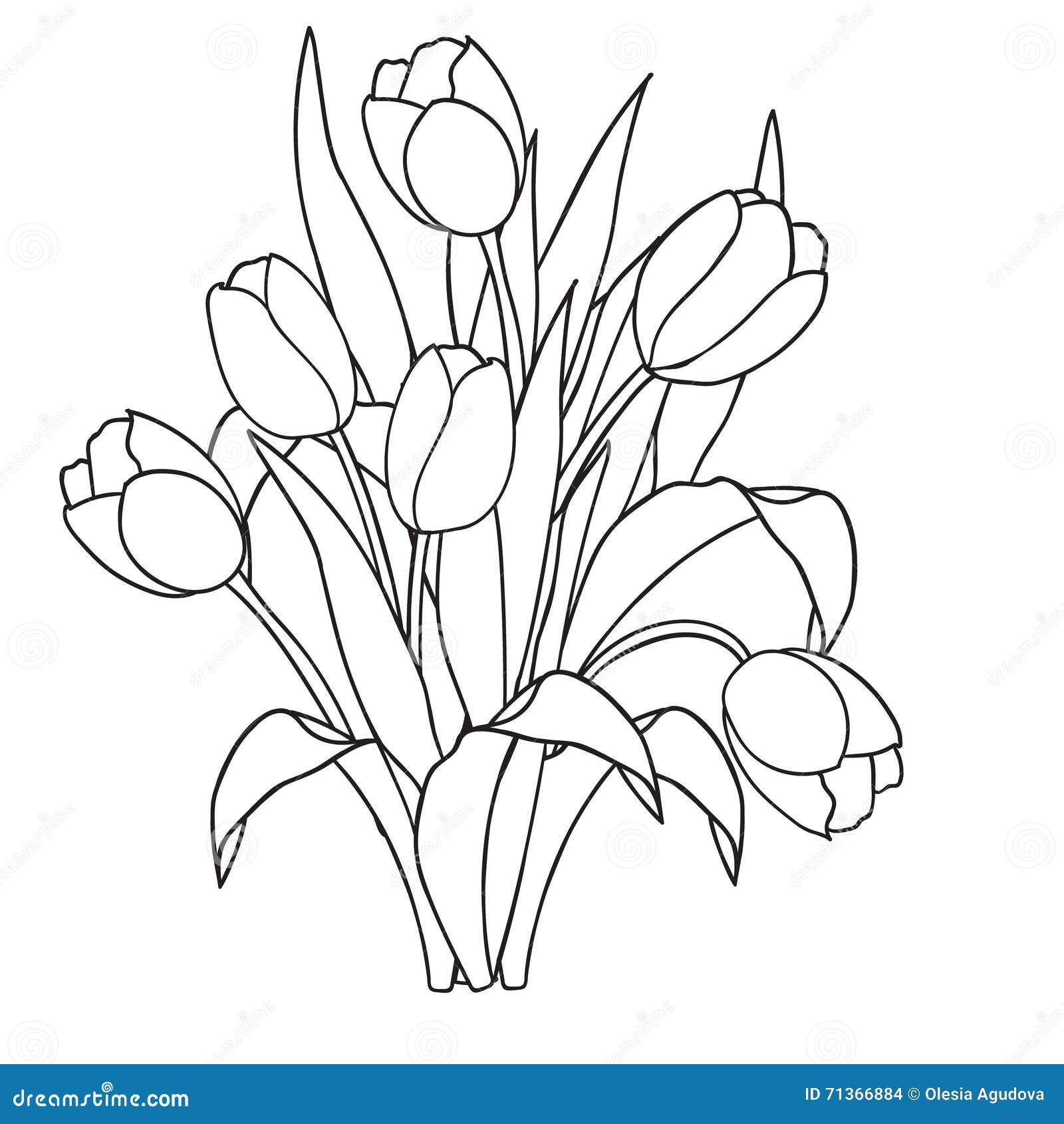 21+ Tulip Coloring Pages