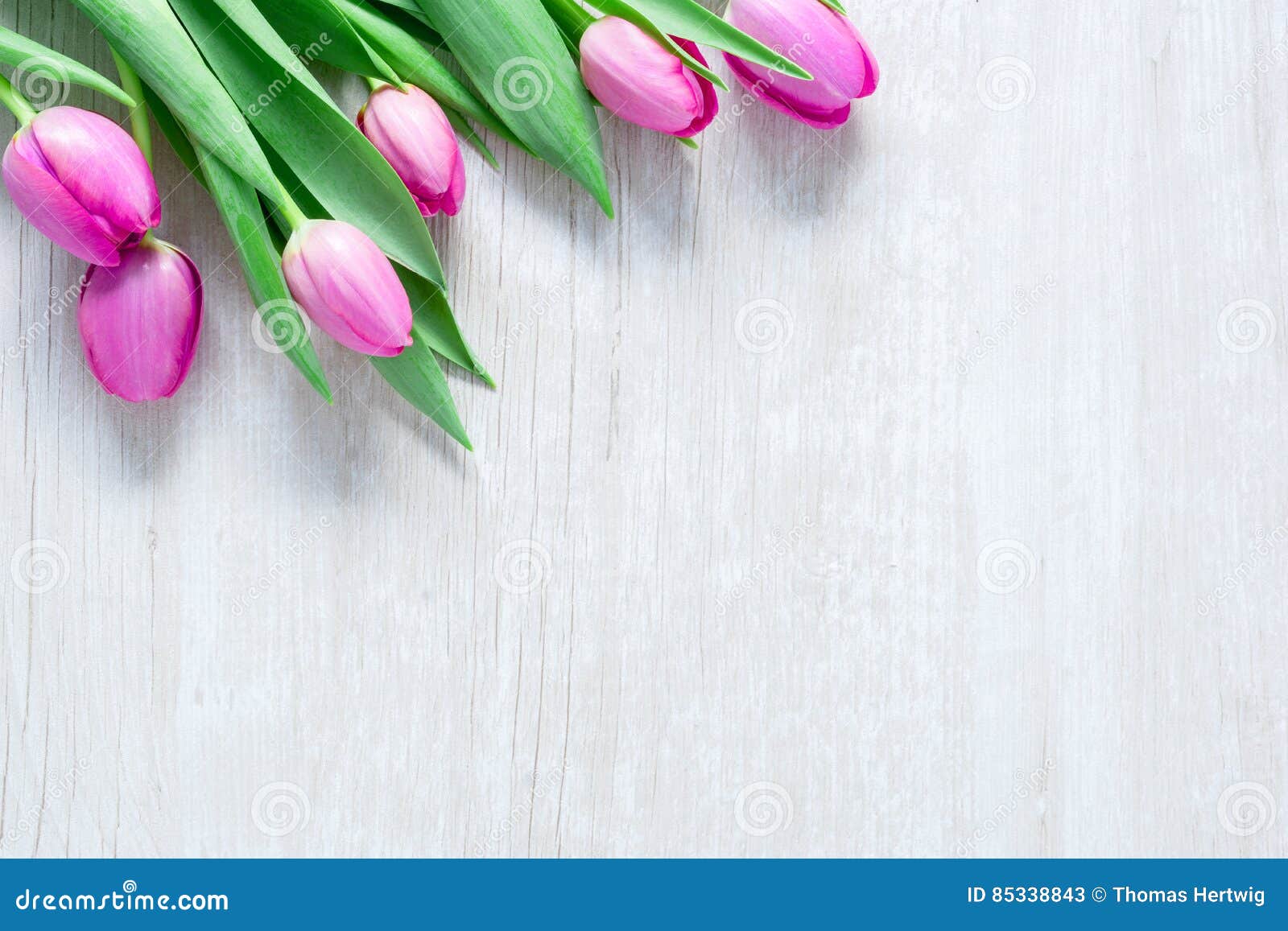 tulips flowers on wooden table for march 8, international women