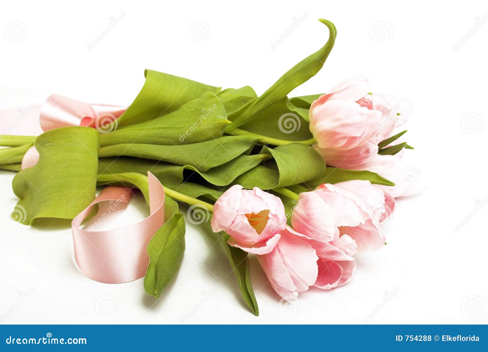 Tulips with ribbon stock photo. Image of expression, leaves 754288