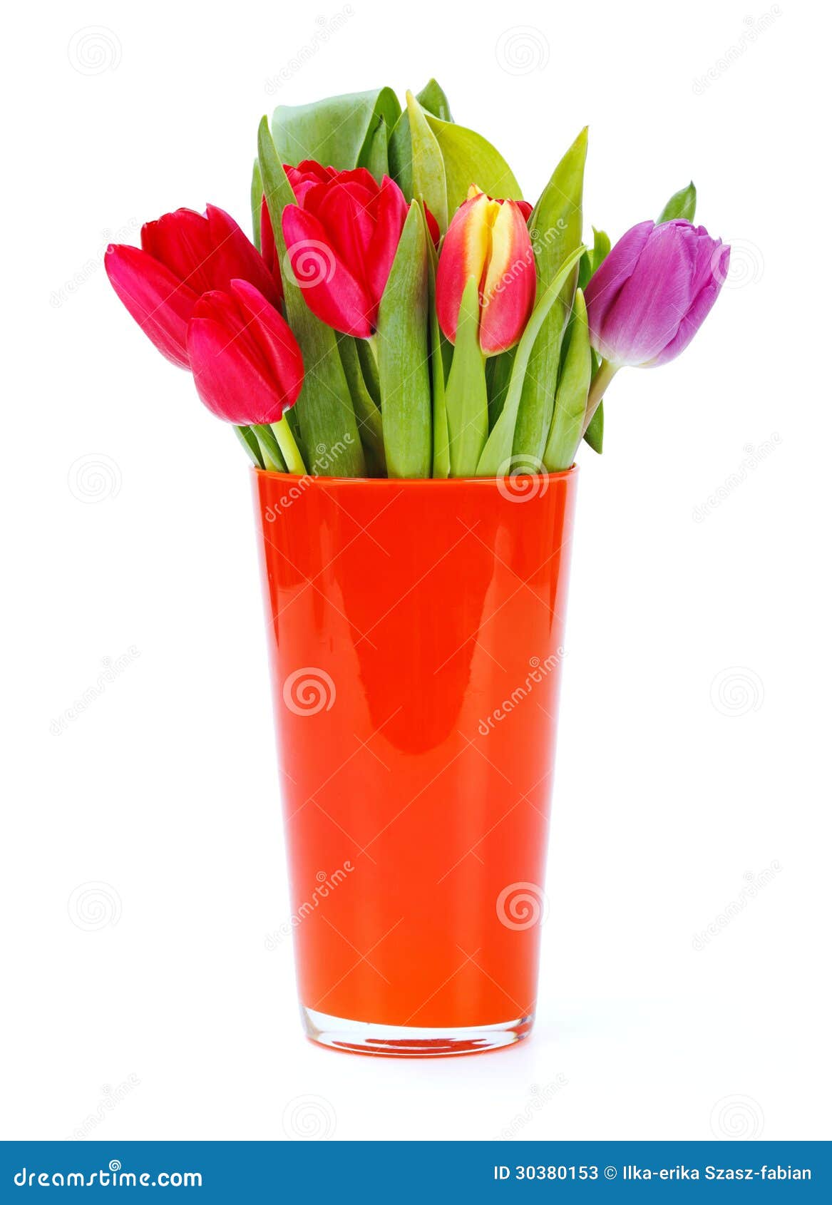 Tulips in vase stock image. Image of tulips, colorful 30380153