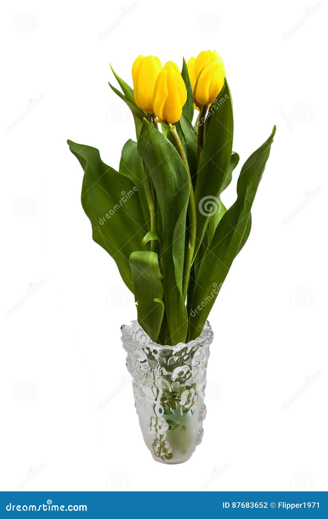 Tulips in a Vase stock photo. Image of natural, bouquet - 87683652