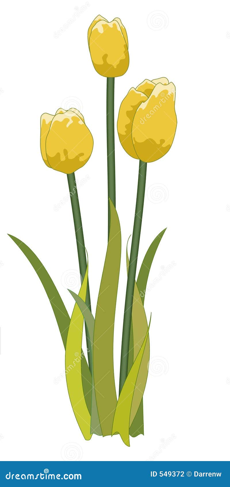 Tulips yellow stock illustration. Illustration of flowers 549372